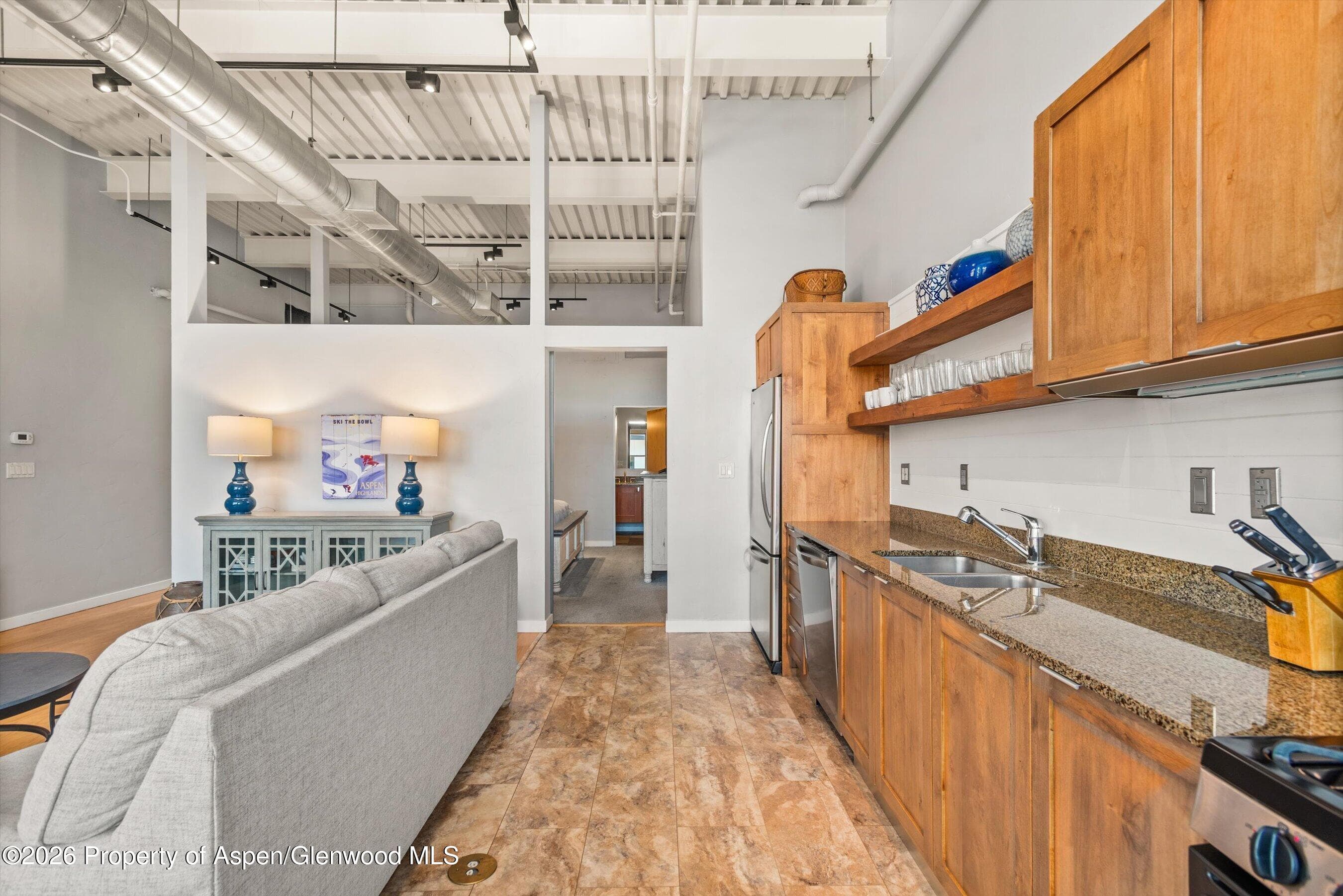 231 Robinson Street R-310, Basalt, CO 81621 - Photo 9