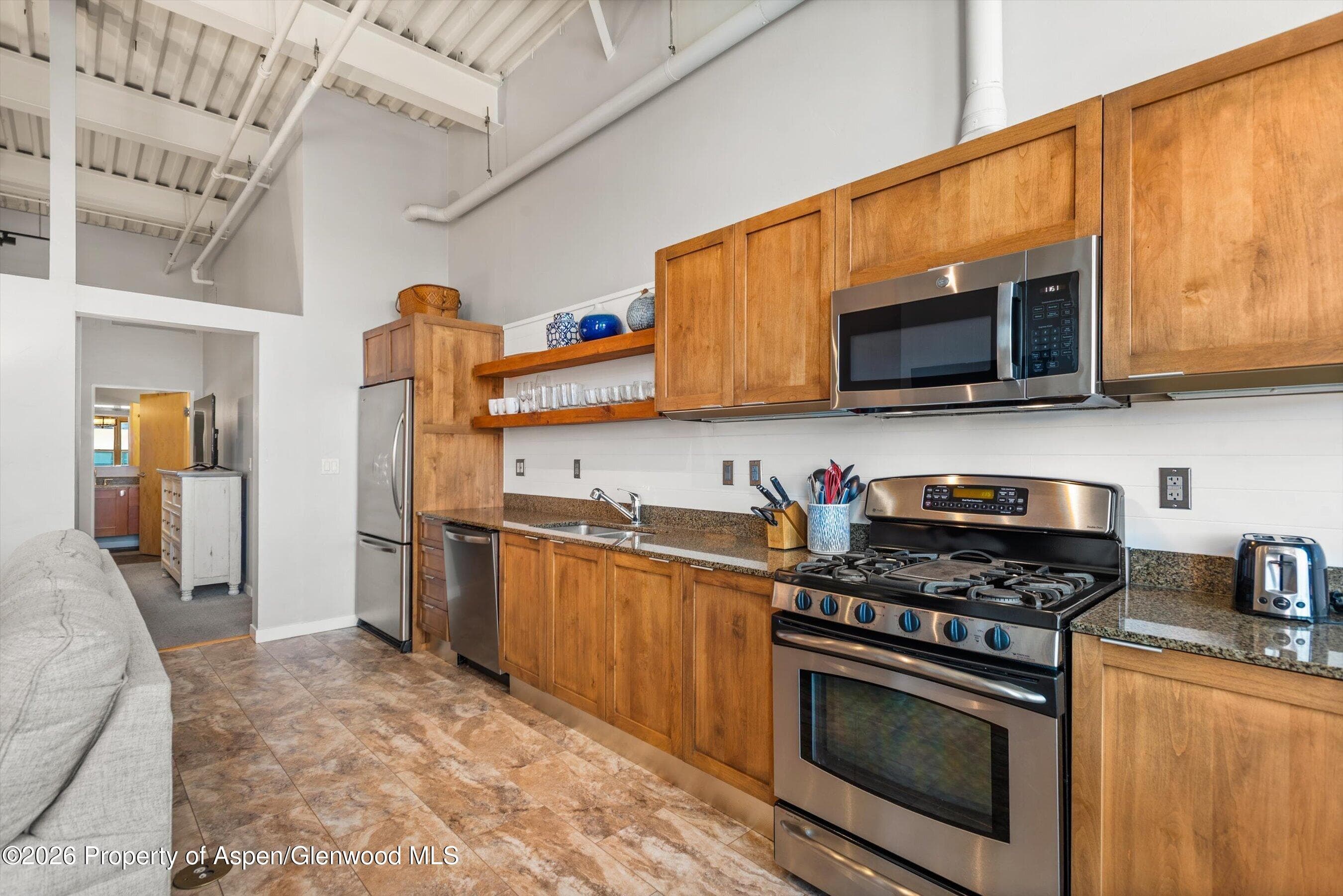 231 Robinson Street R-310, Basalt, CO 81621 - Photo 10