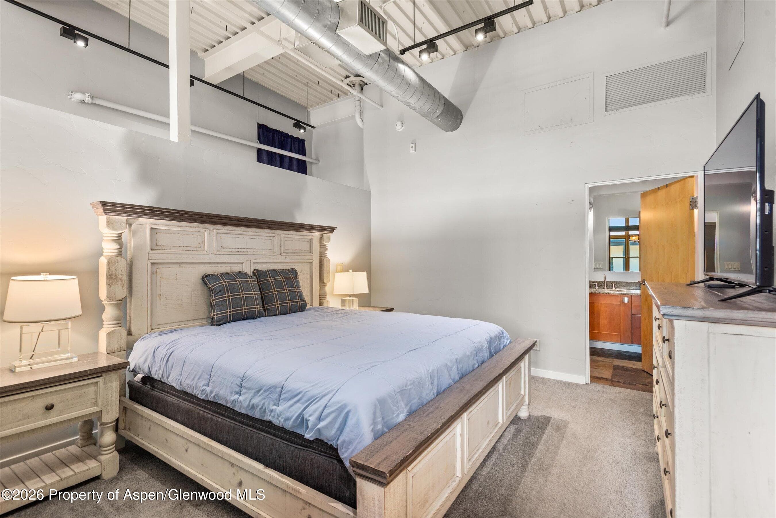 231 Robinson Street R-310, Basalt, CO 81621 - Photo 11