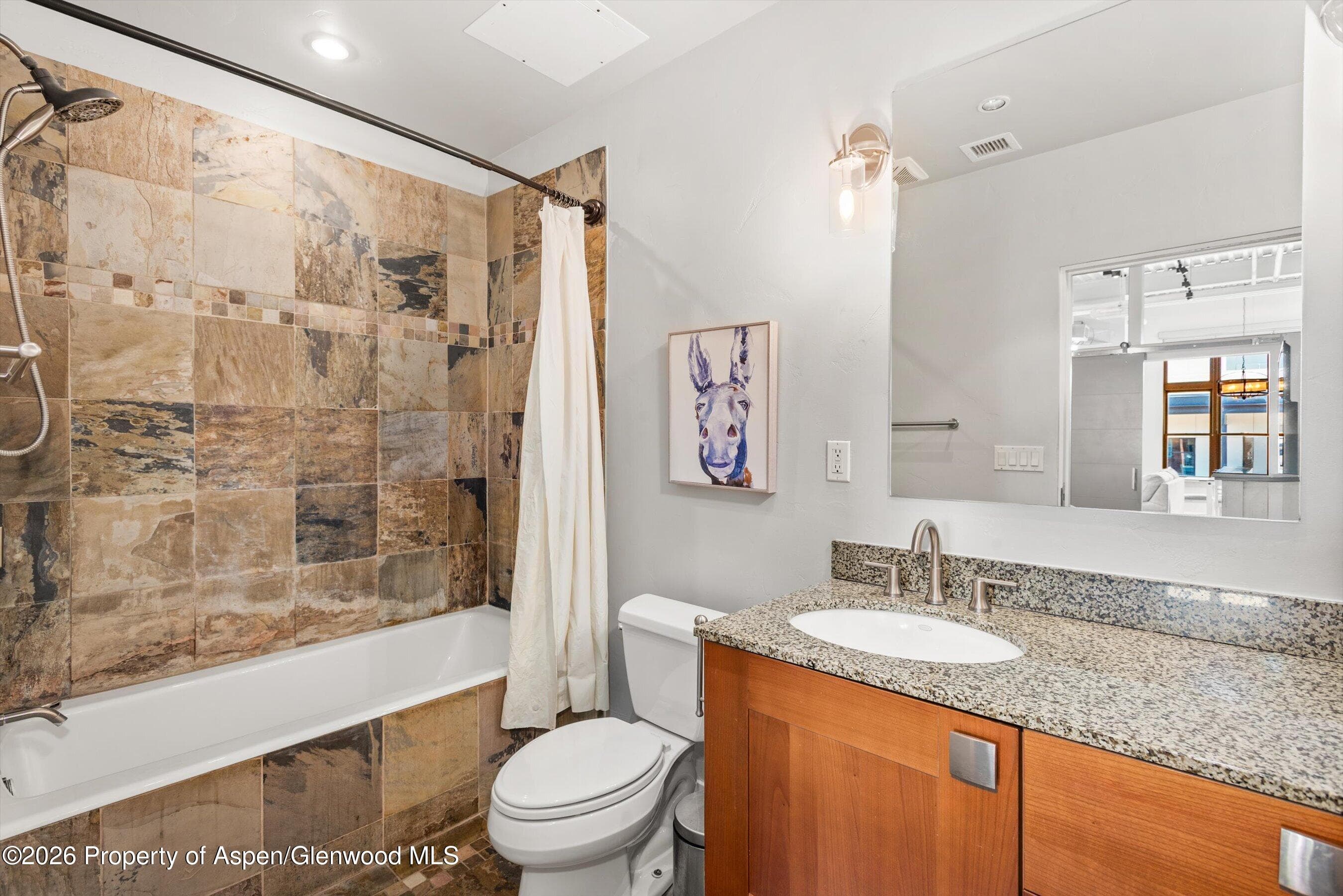 231 Robinson Street R-310, Basalt, CO 81621 - Photo 12