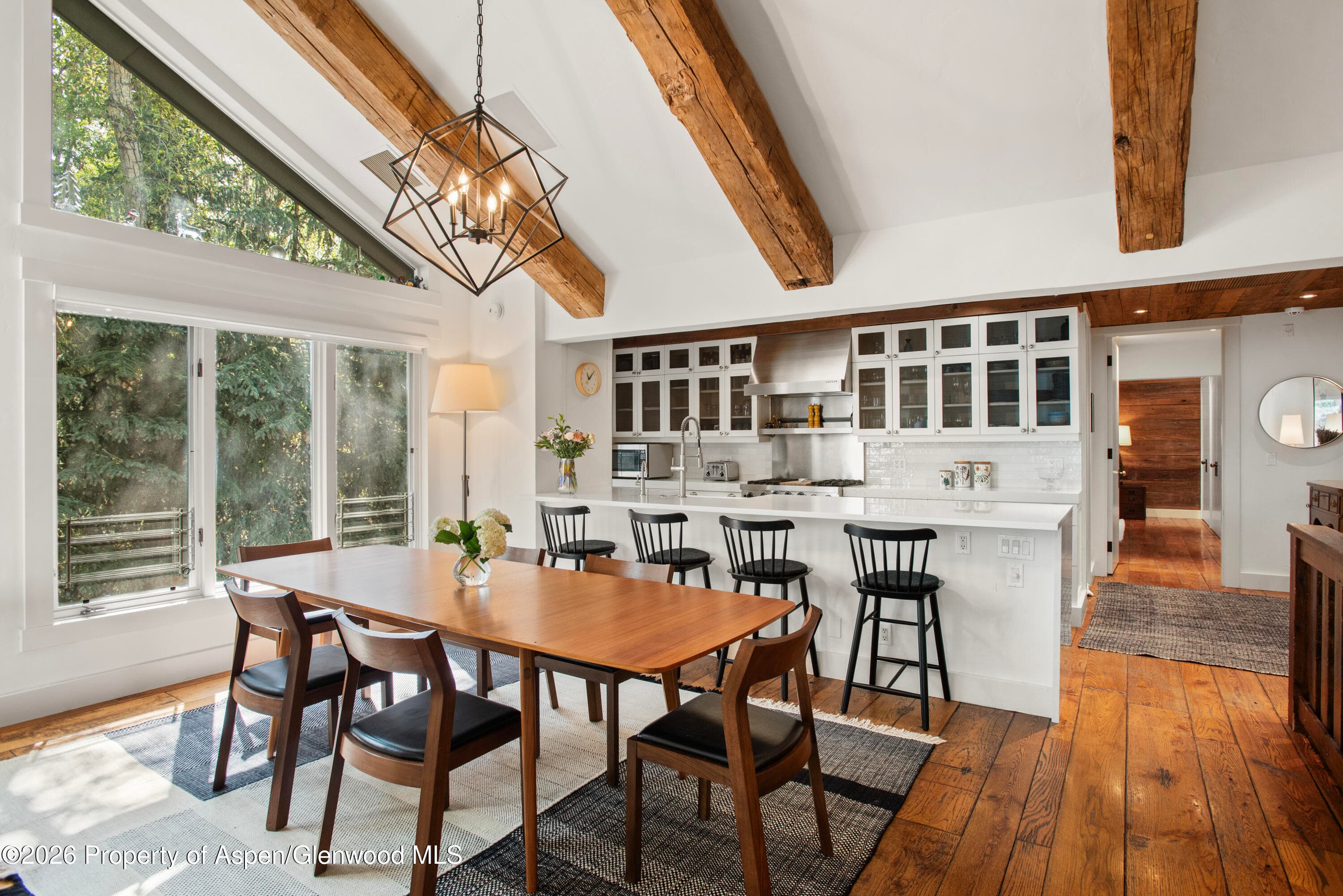 901 W Francis Street, Aspen, CO 81611 - Photo 5