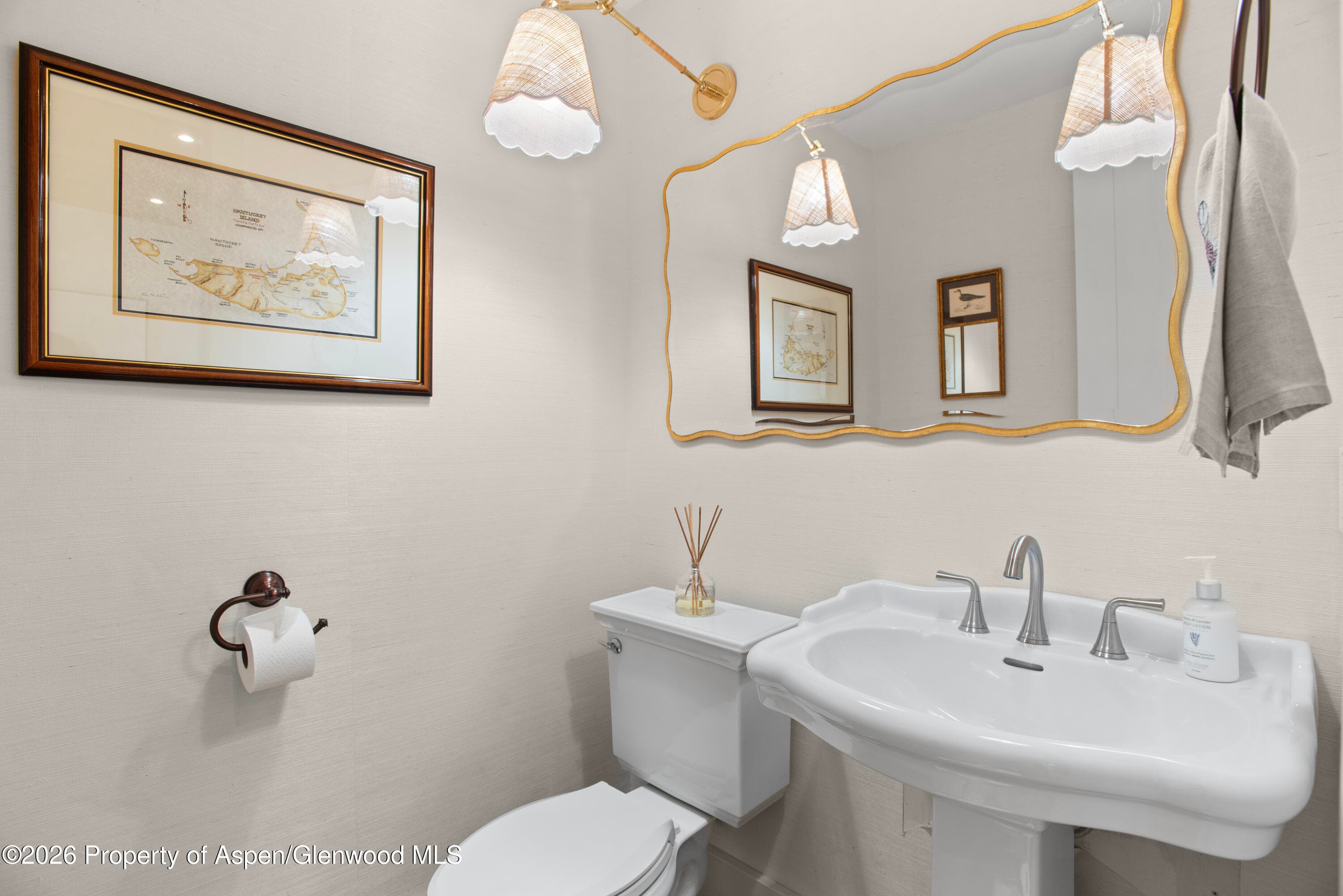 901 W Francis Street, Aspen, CO 81611 - Photo 9