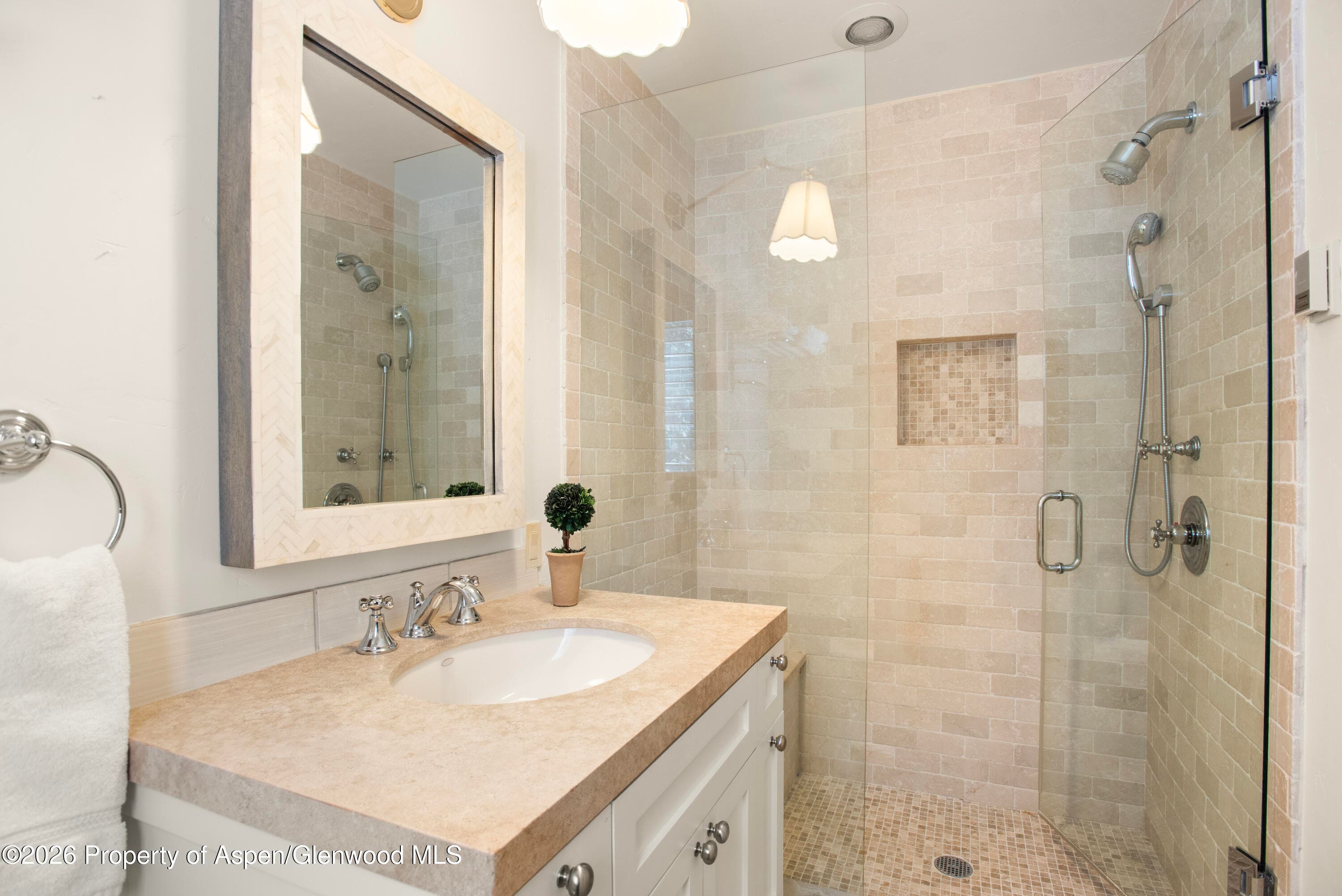 901 W Francis Street, Aspen, CO 81611 - Photo 19