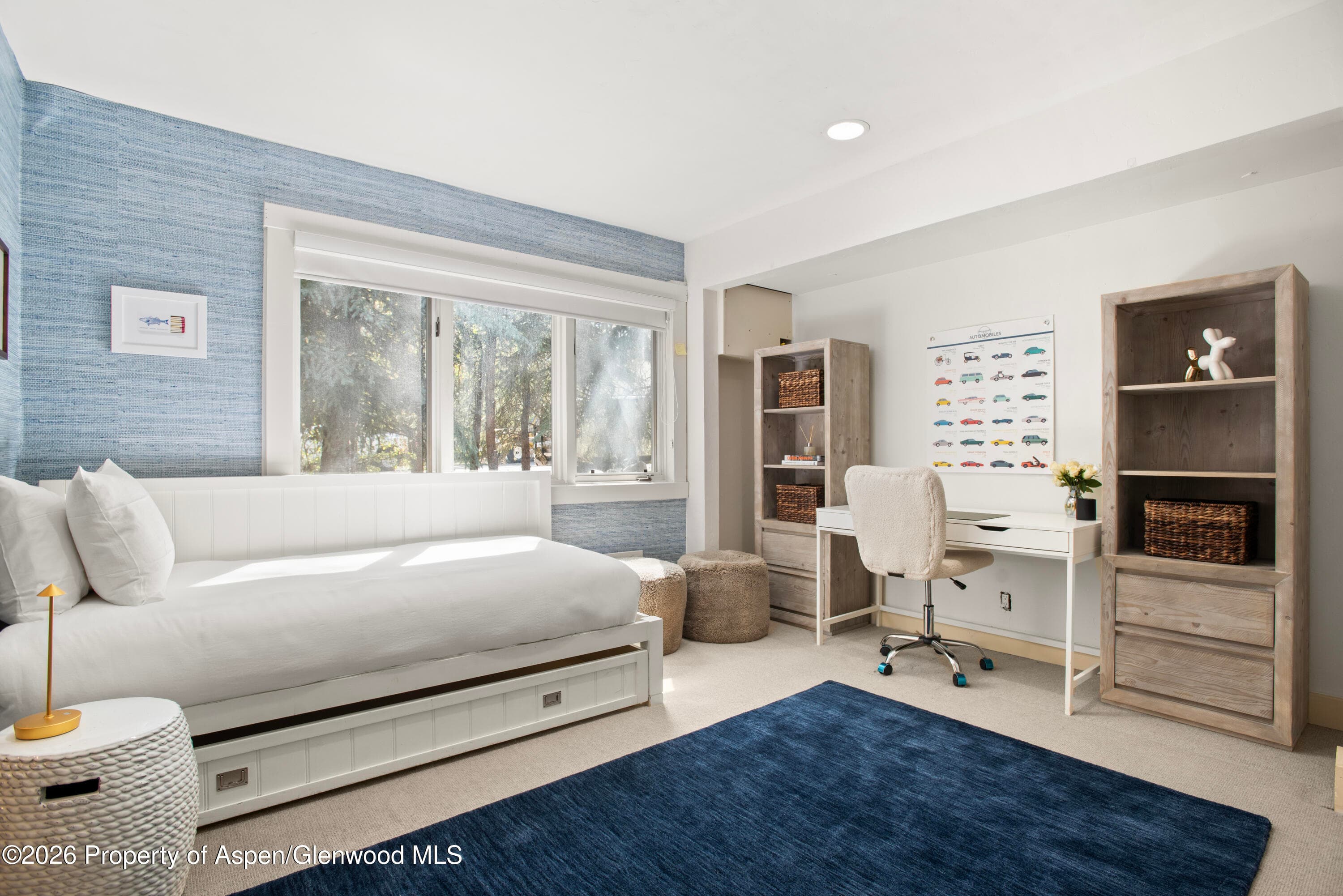 901 W Francis Street, Aspen, CO 81611 - Photo 20