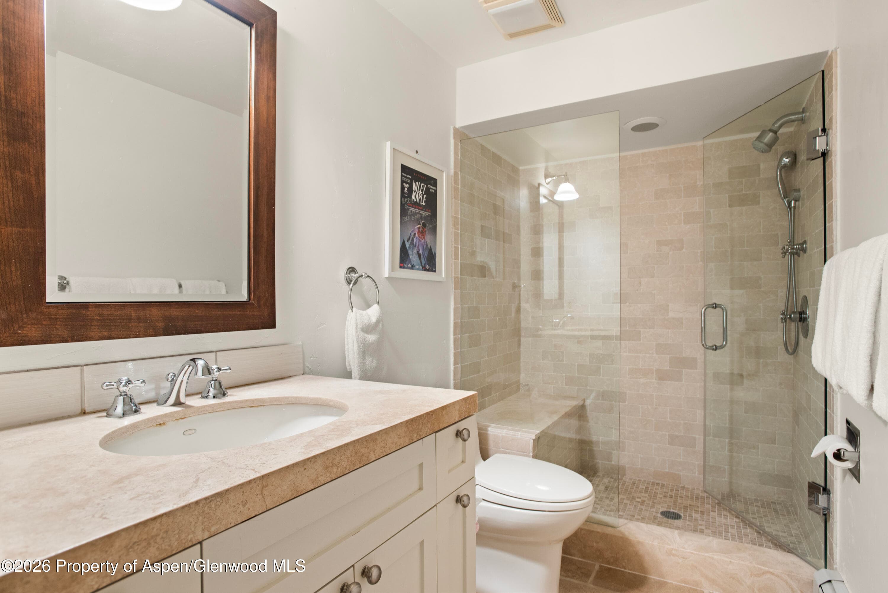901 W Francis Street, Aspen, CO 81611 - Photo 28