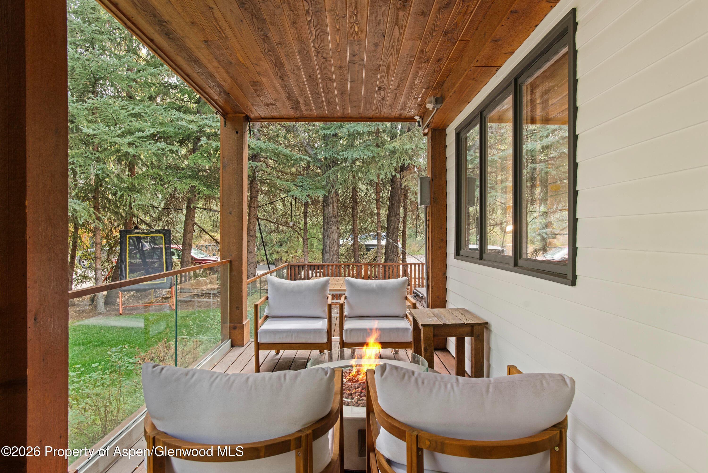 901 W Francis Street, Aspen, CO 81611 - Photo 29
