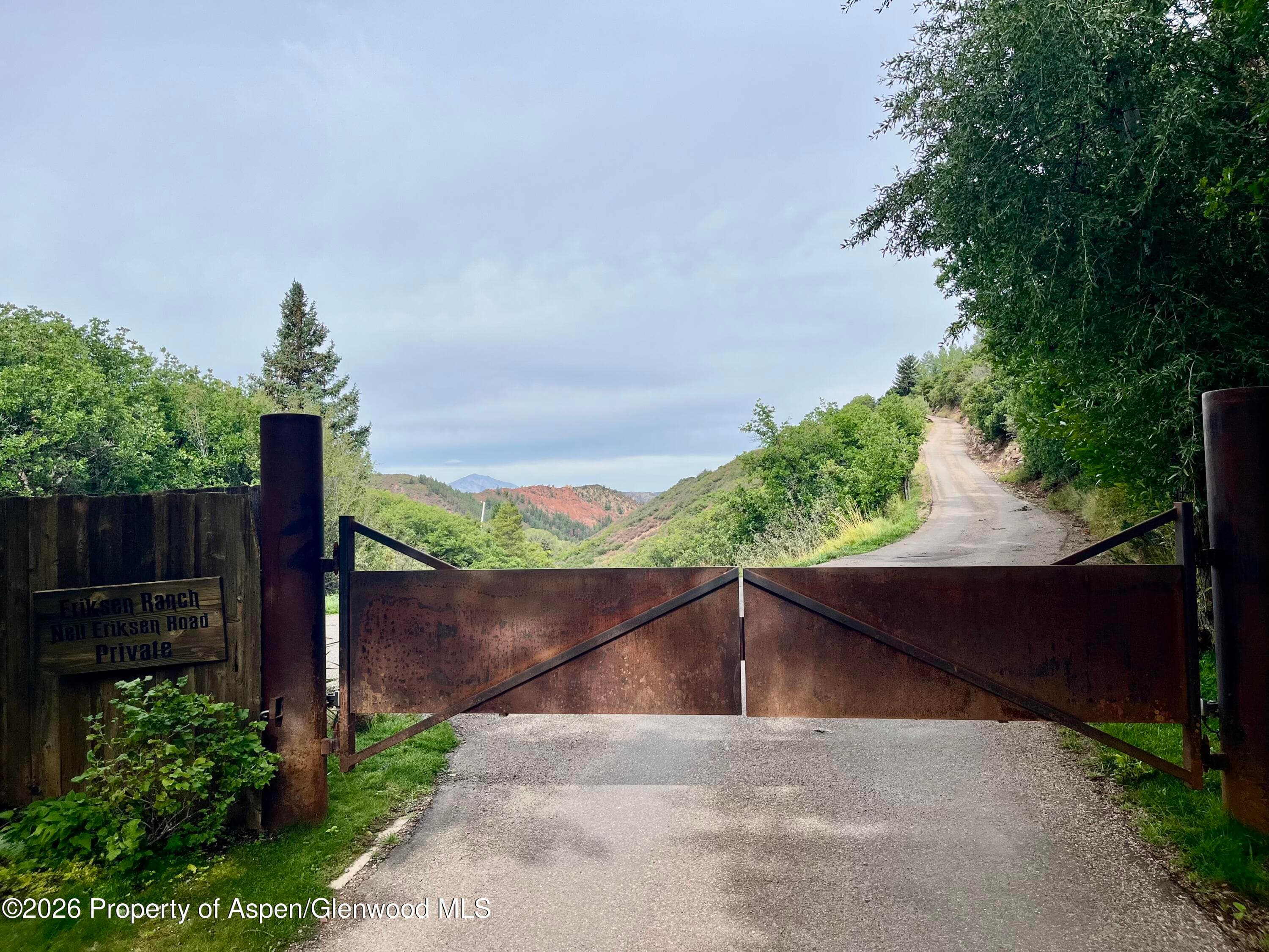 700 Nell Erickson Road, Aspen, CO 81611 - Photo 28