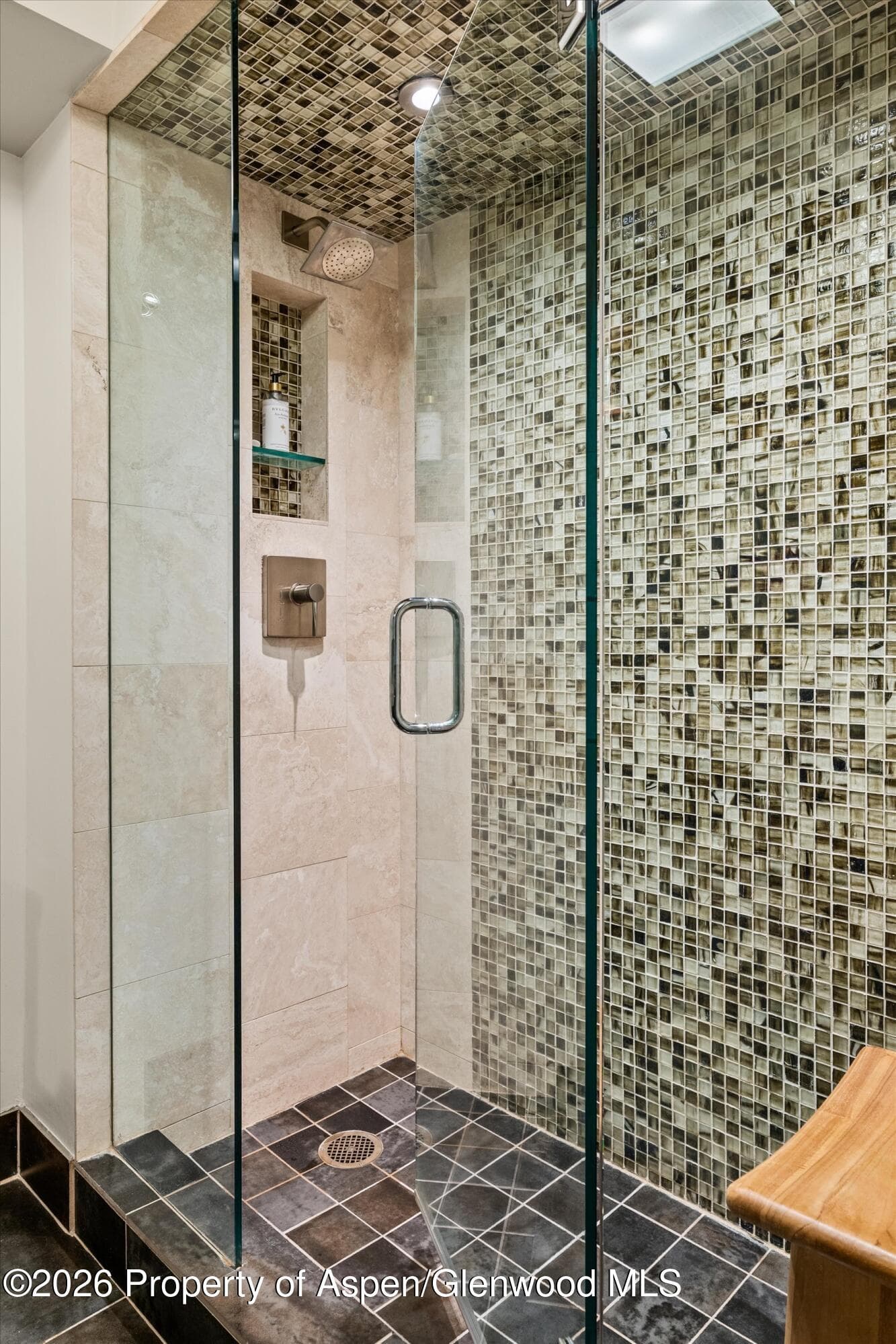 1034 E Cooper Avenue 26a, Aspen, CO 81611 - Photo 22