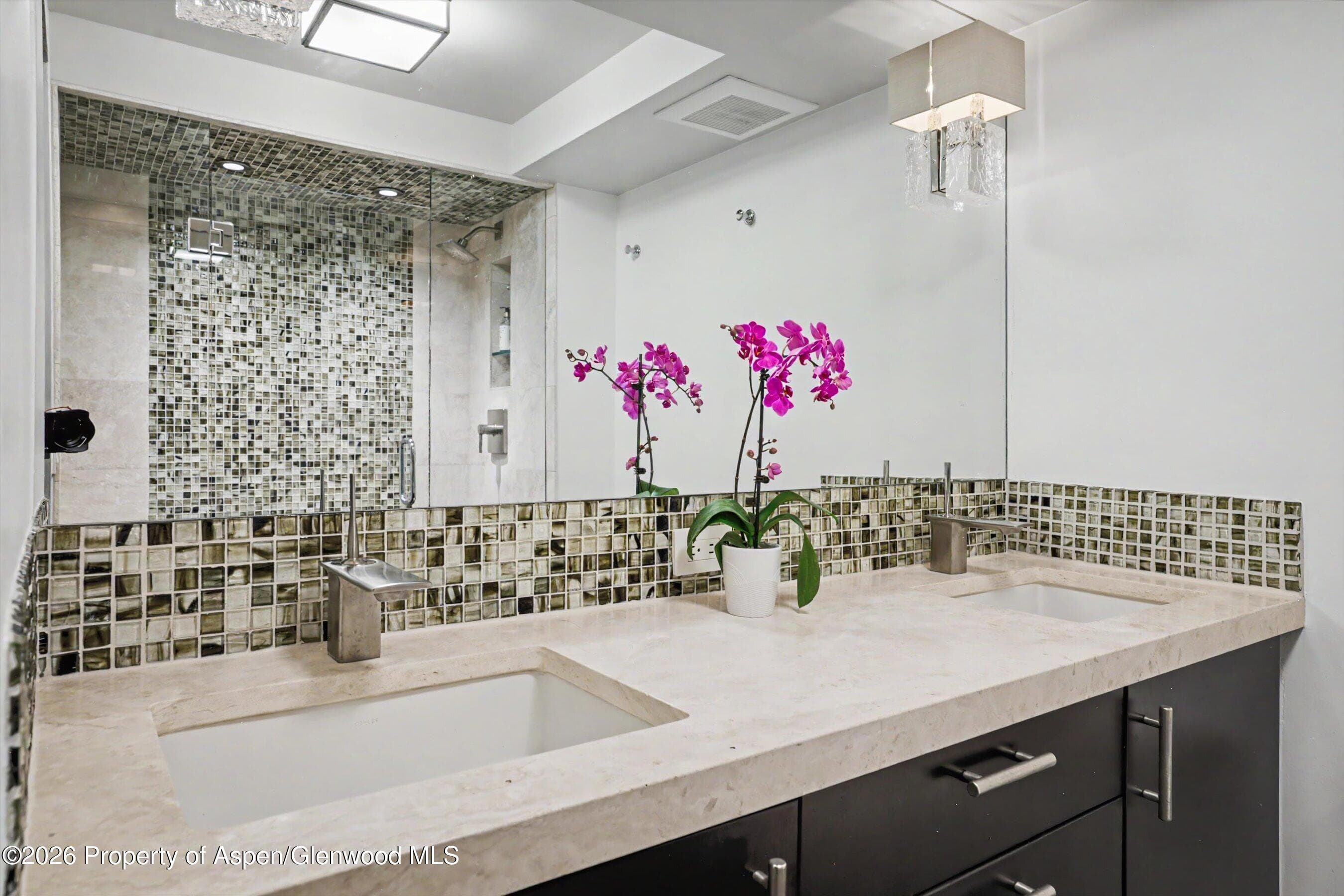 1034 E Cooper Avenue 26a, Aspen, CO 81611 - Photo 21