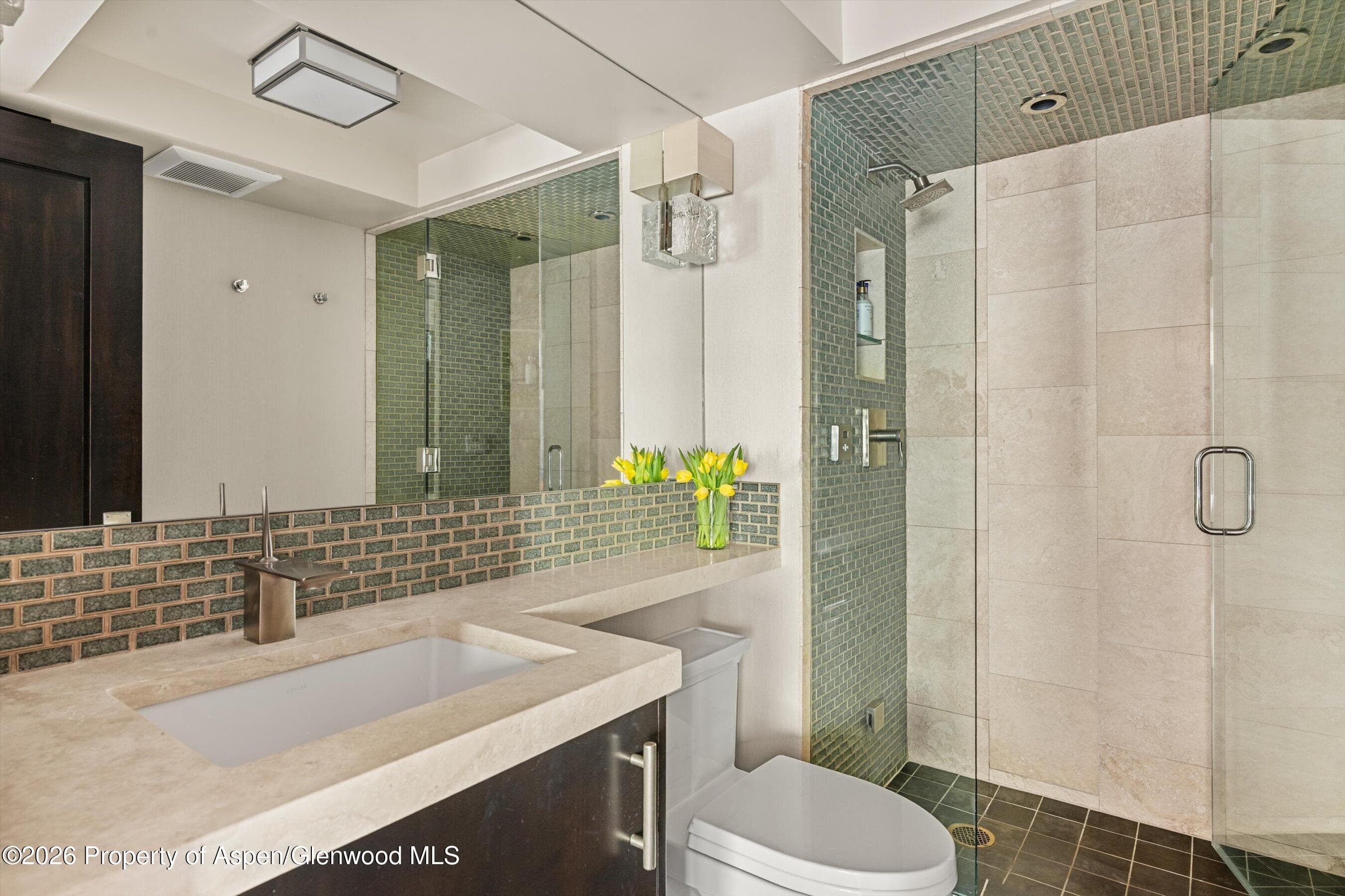 1034 E Cooper Avenue 26a, Aspen, CO 81611 - Photo 19