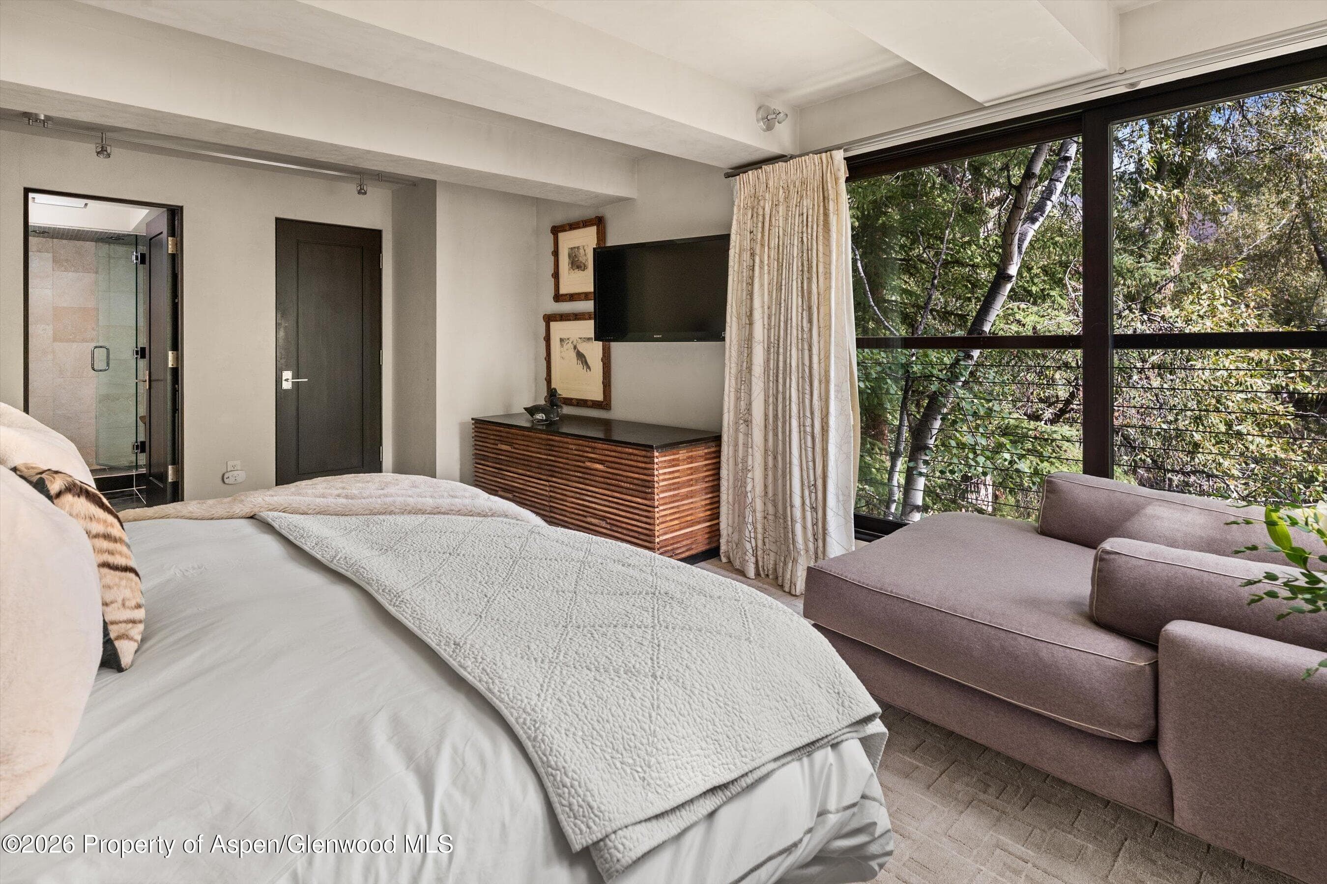 1034 E Cooper Avenue 26a, Aspen, CO 81611 - Photo 18