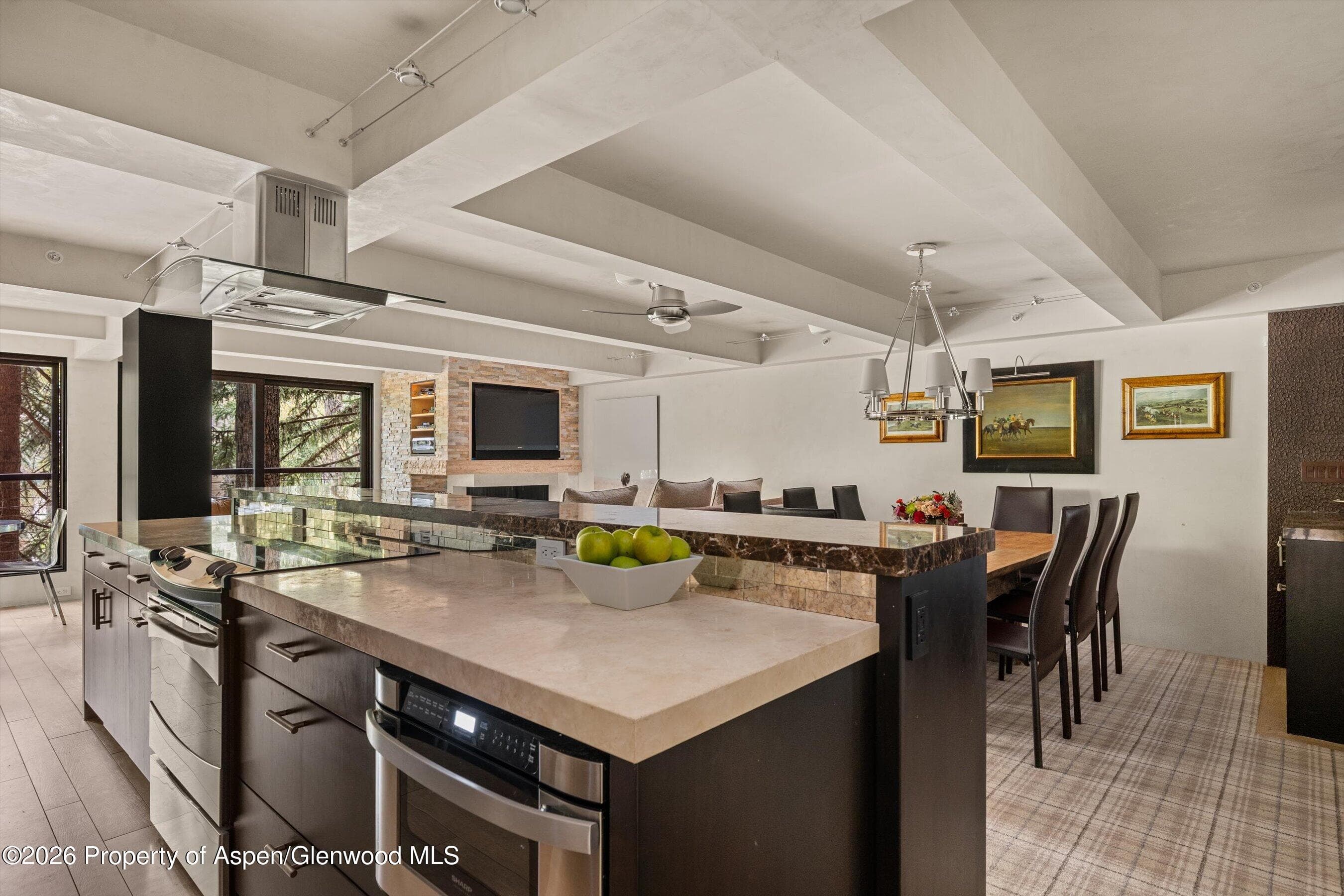 1034 E Cooper Avenue 26a, Aspen, CO 81611 - Photo 13