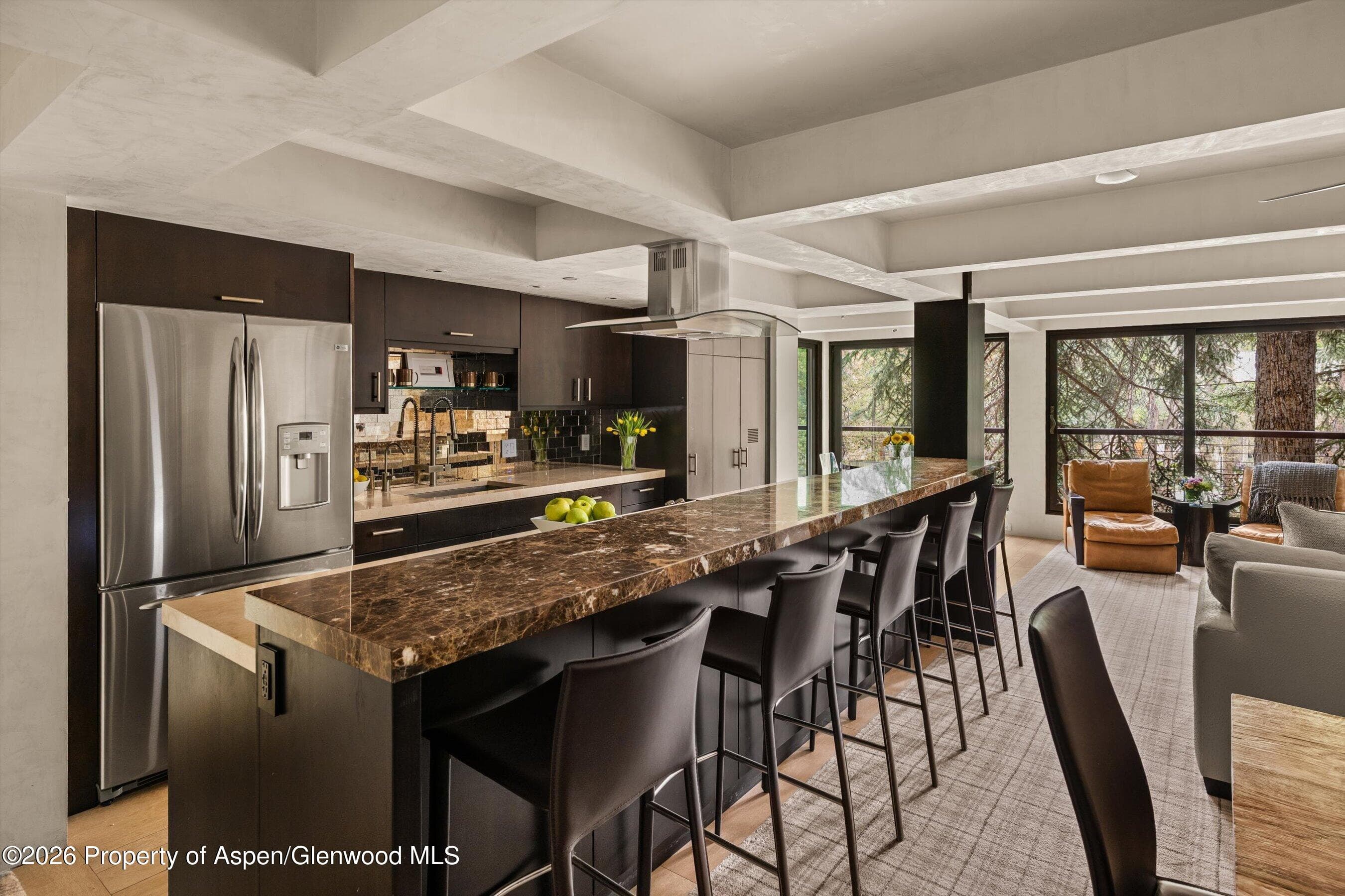 1034 E Cooper Avenue 26a, Aspen, CO 81611 - Photo 11