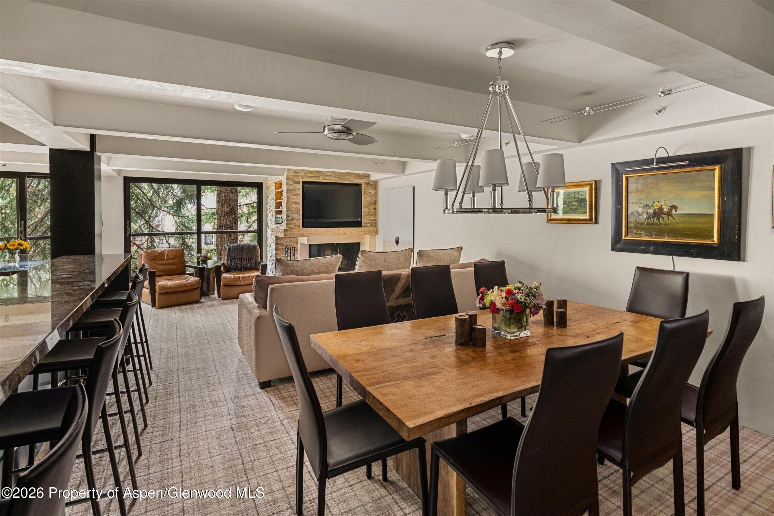1034 E Cooper Avenue 26a, Aspen, CO 81611 - Photo 10