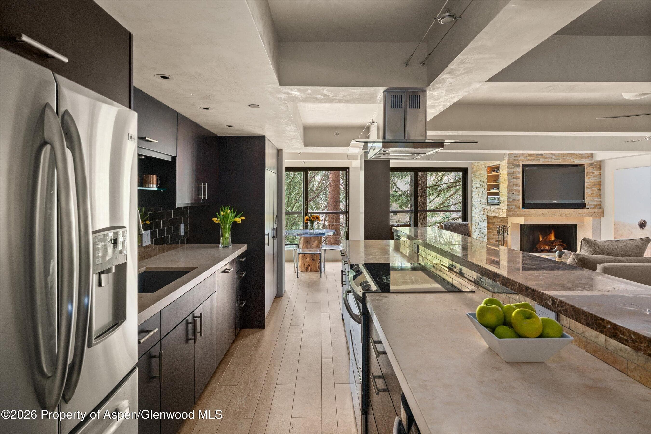 1034 E Cooper Avenue 26a, Aspen, CO 81611 - Photo 9