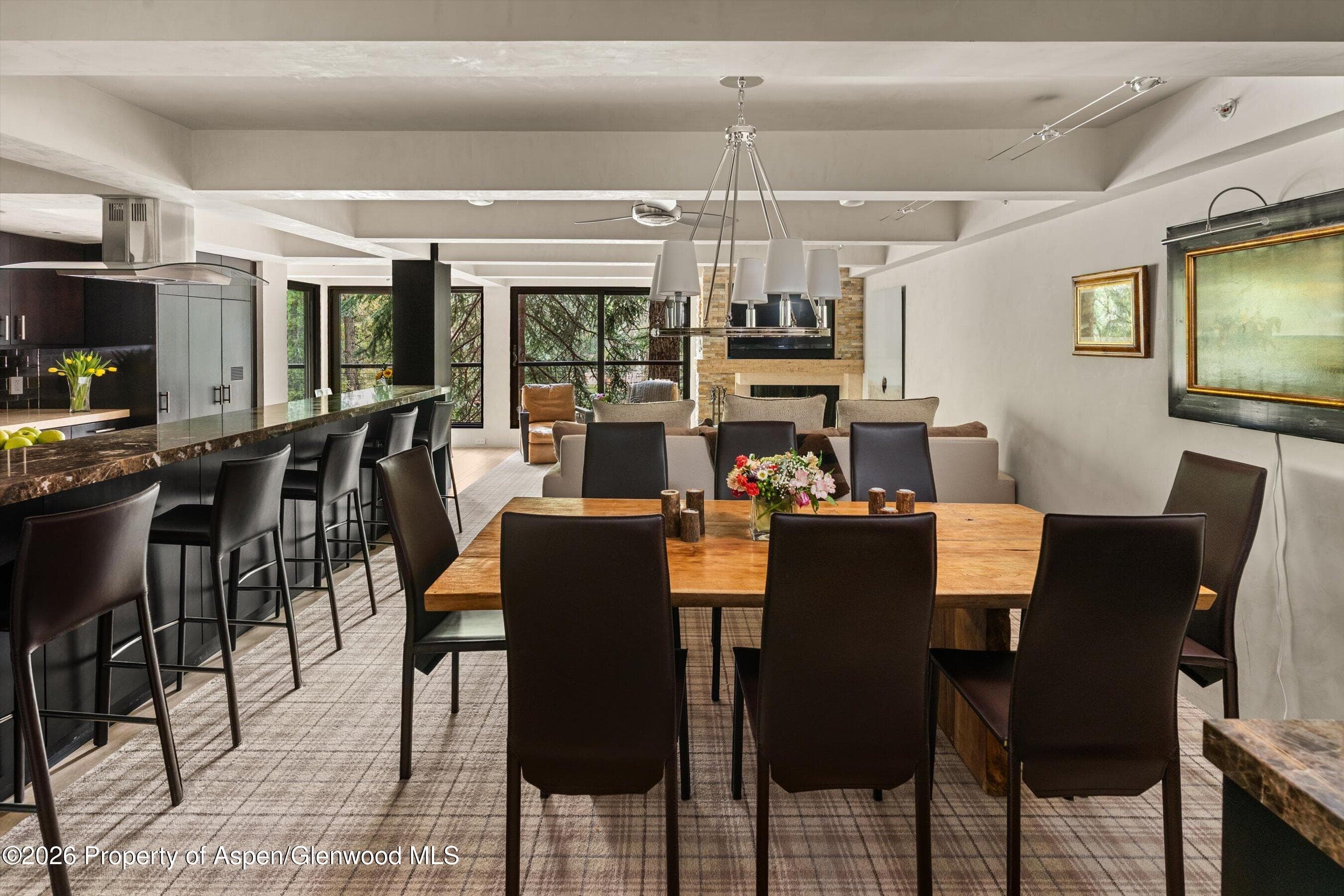 1034 E Cooper Avenue 26a, Aspen, CO 81611 - Photo 8