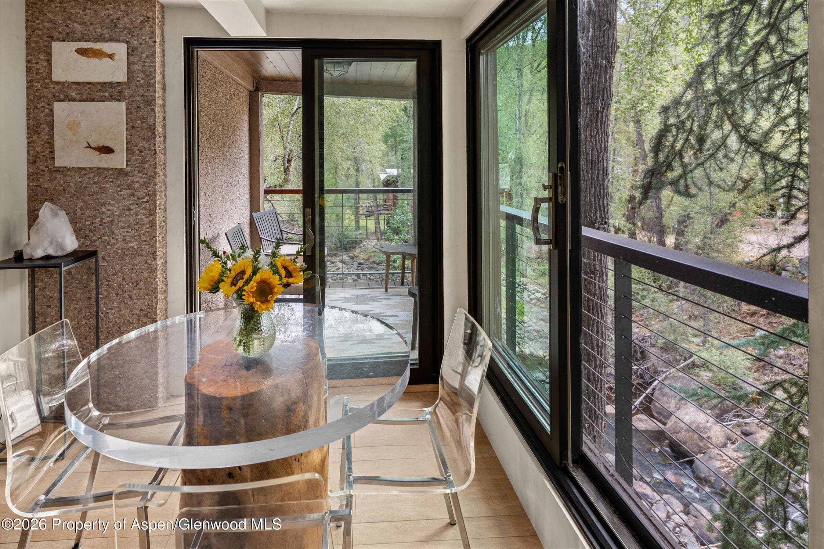 1034 E Cooper Avenue 26a, Aspen, CO 81611 - Photo 7