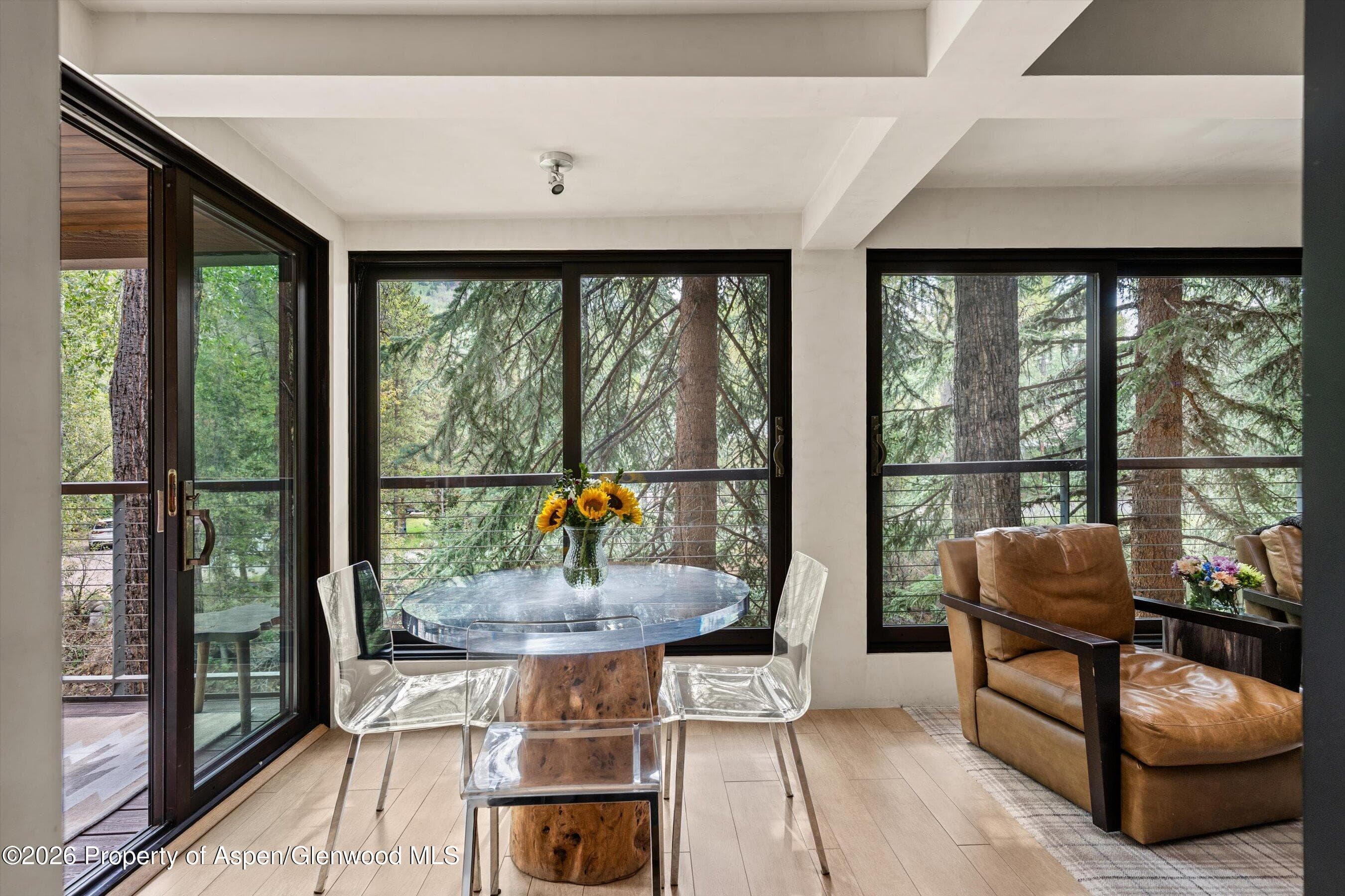 1034 E Cooper Avenue 26a, Aspen, CO 81611 - Photo 6