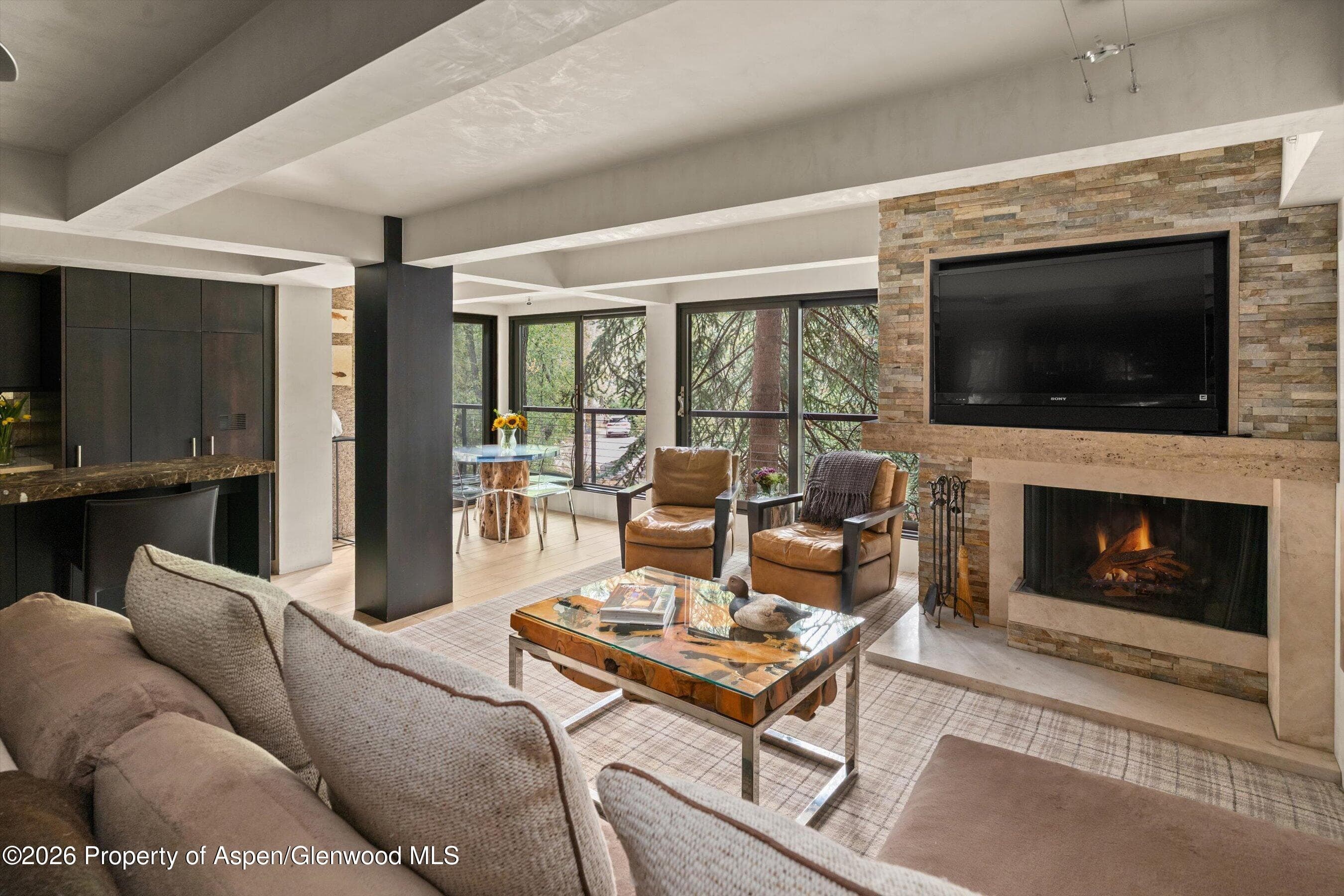 1034 E Cooper Avenue 26a, Aspen, CO 81611 - Photo 5