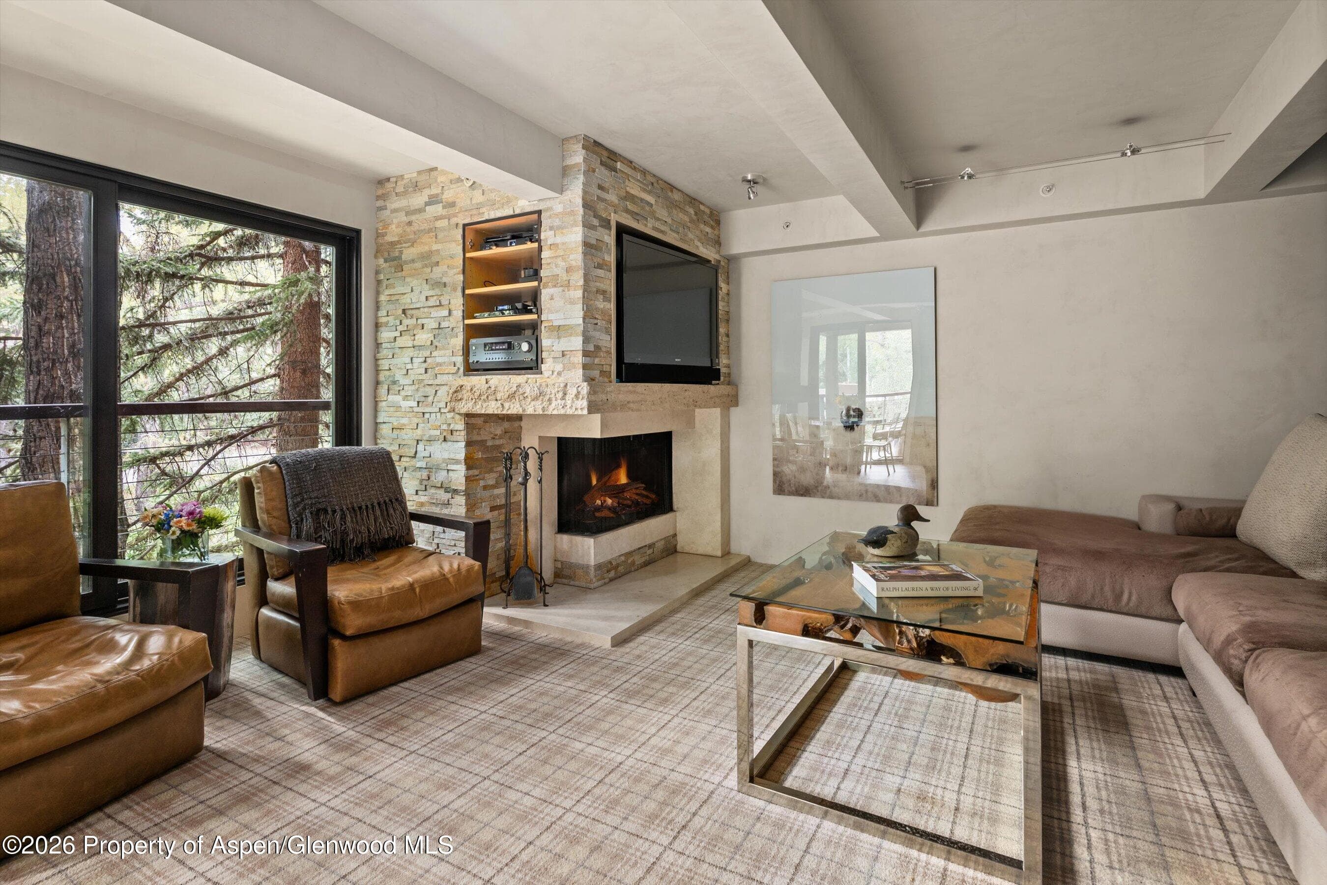 1034 E Cooper Avenue 26a, Aspen, CO 81611 - Photo 4