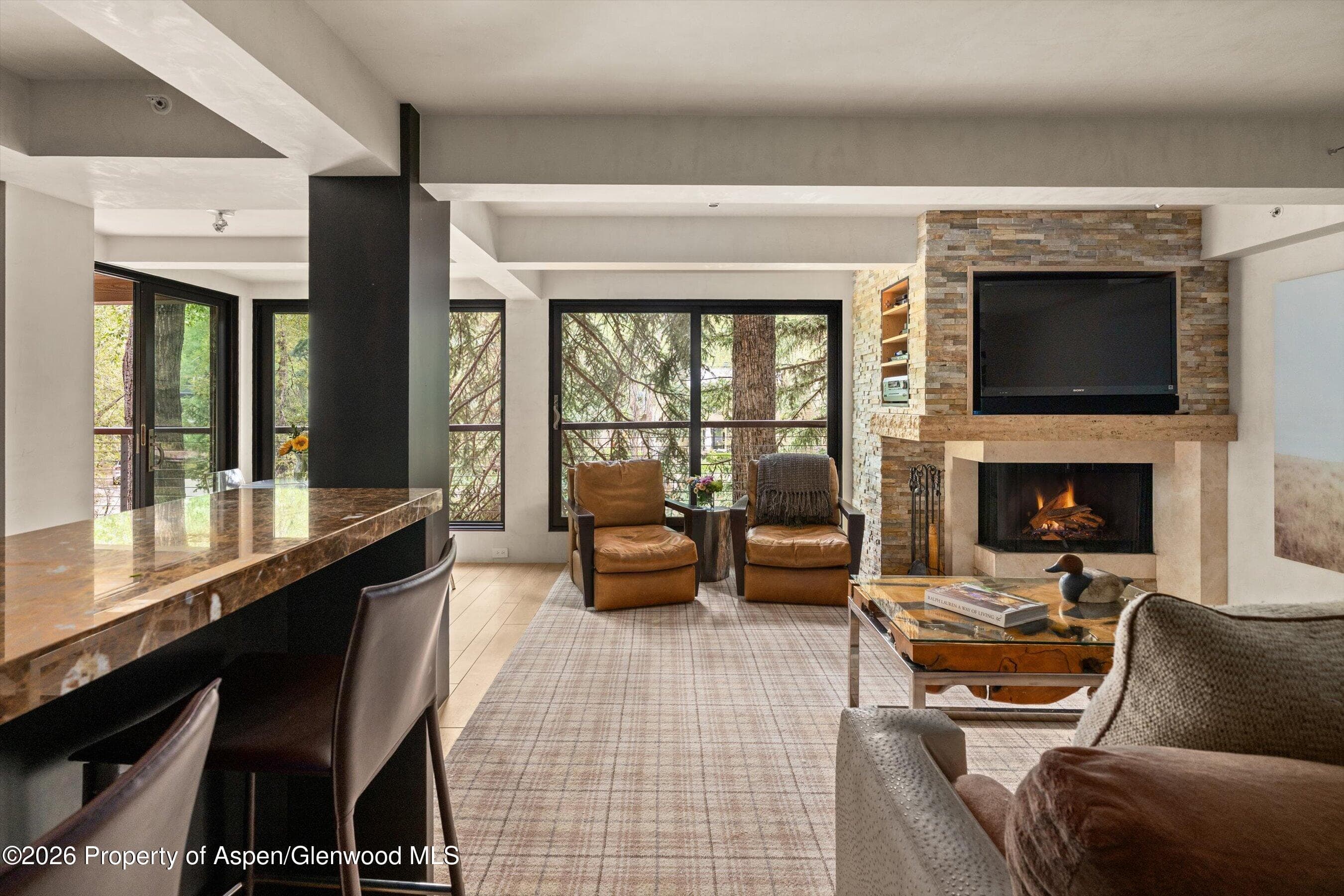 1034 E Cooper Avenue 26a, Aspen, CO 81611