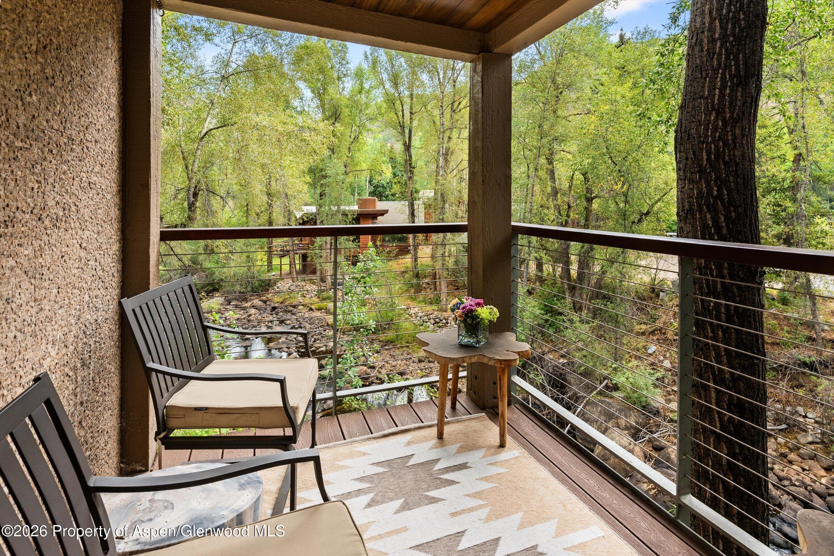 1034 E Cooper Avenue 26a, Aspen, CO 81611 - Photo 3