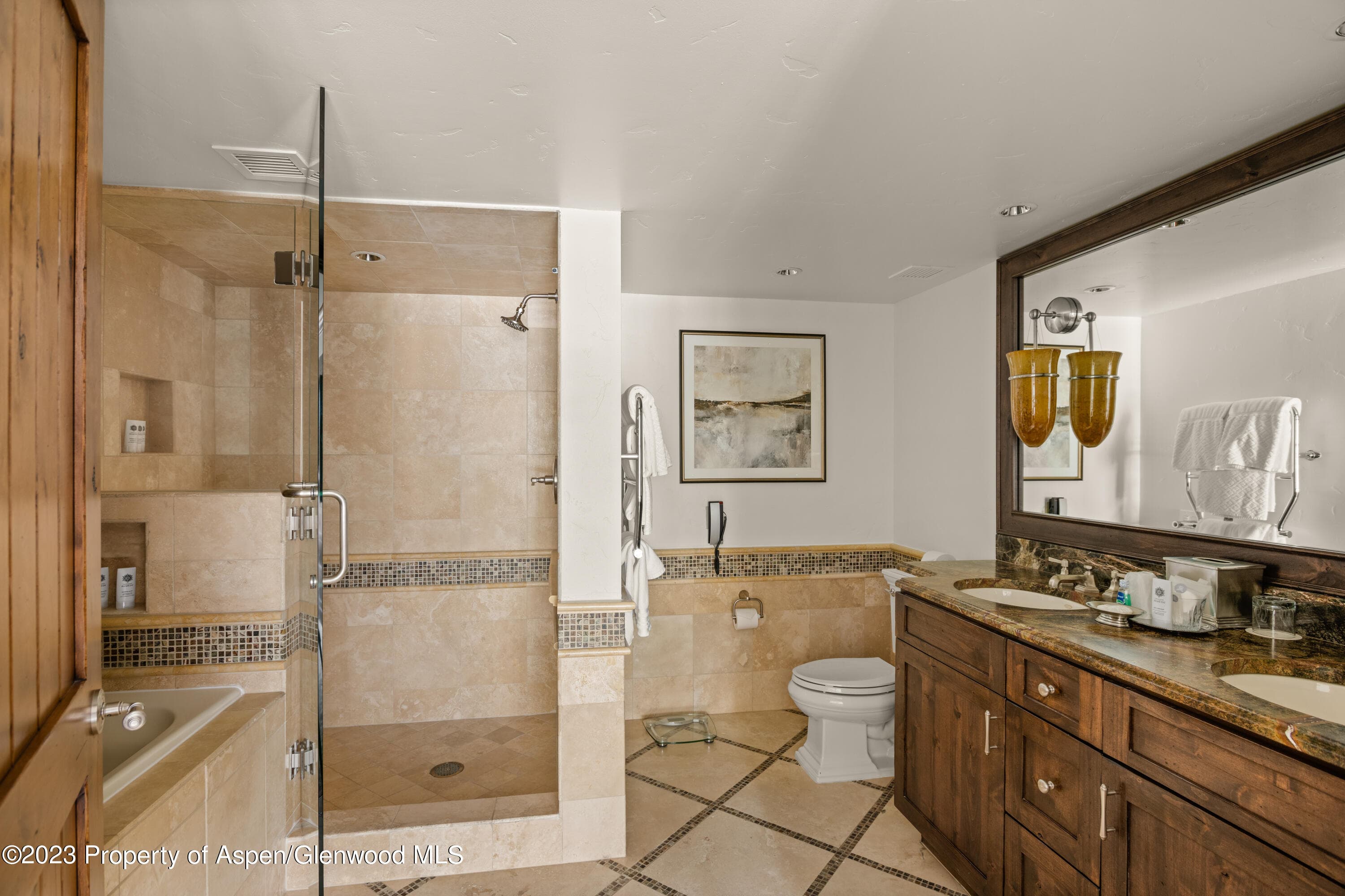 315 E Dean Street B43, Aspen, CO 81611 - Photo 11