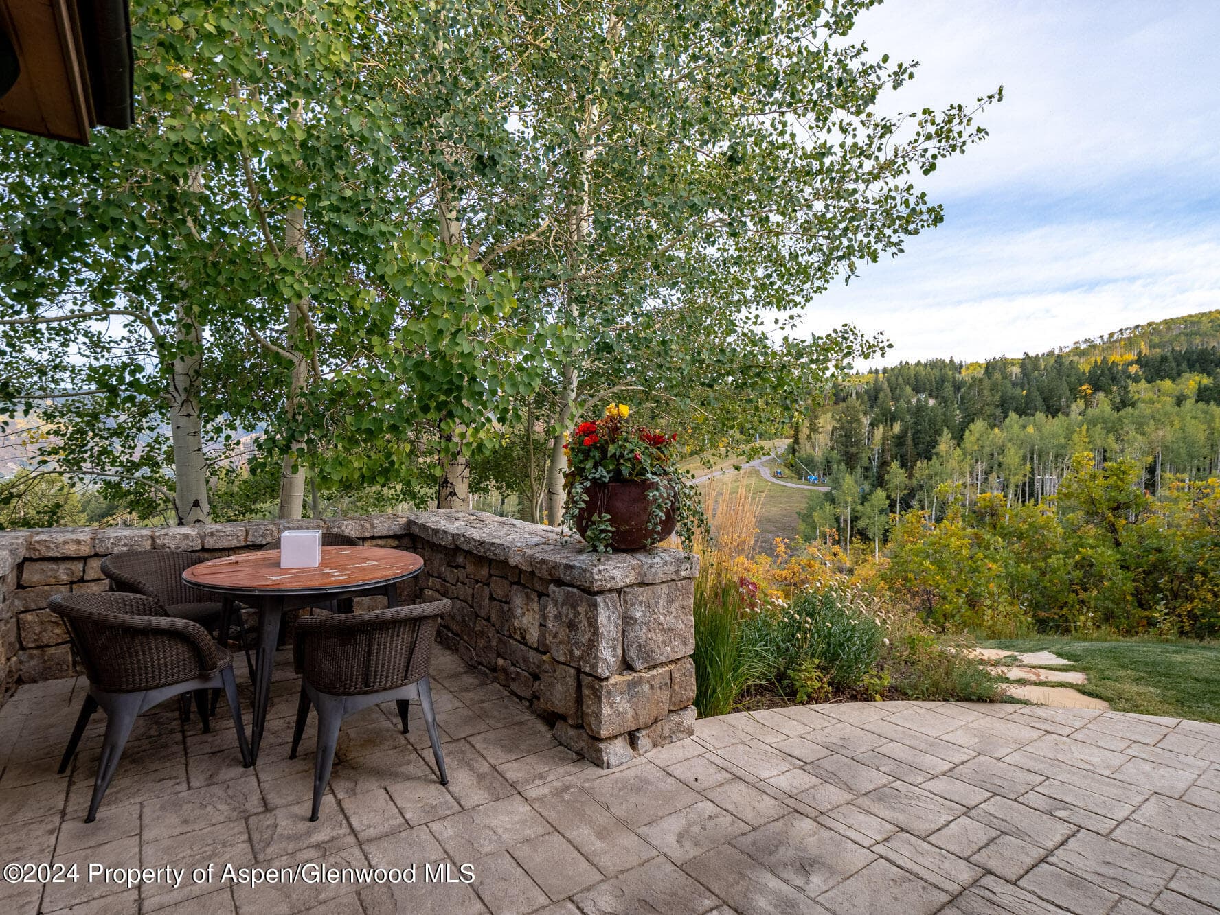 400 Eagle Pines Drive, Aspen, CO 81611 - Photo 31