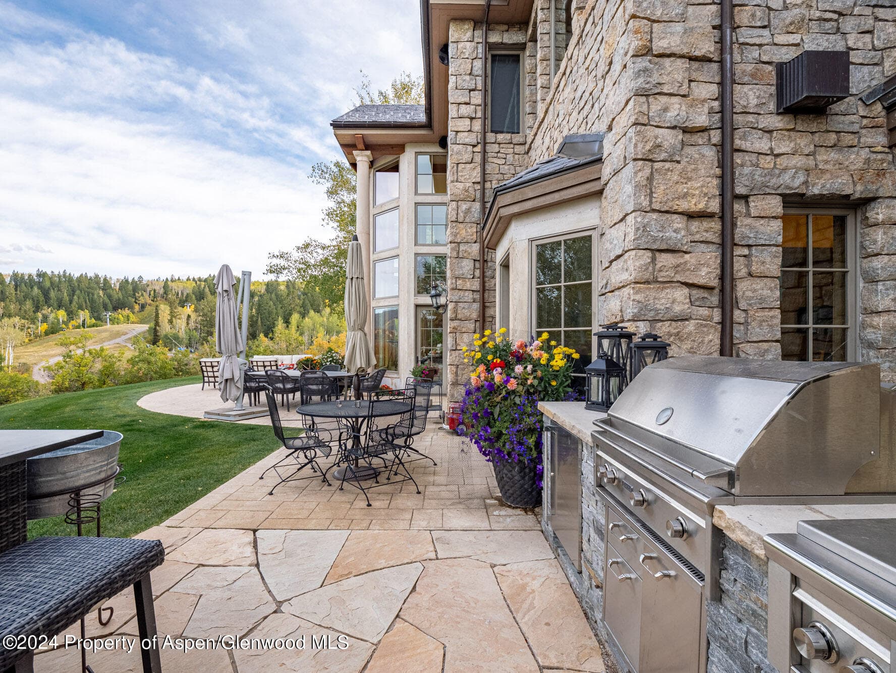 400 Eagle Pines Drive, Aspen, CO 81611 - Photo 25