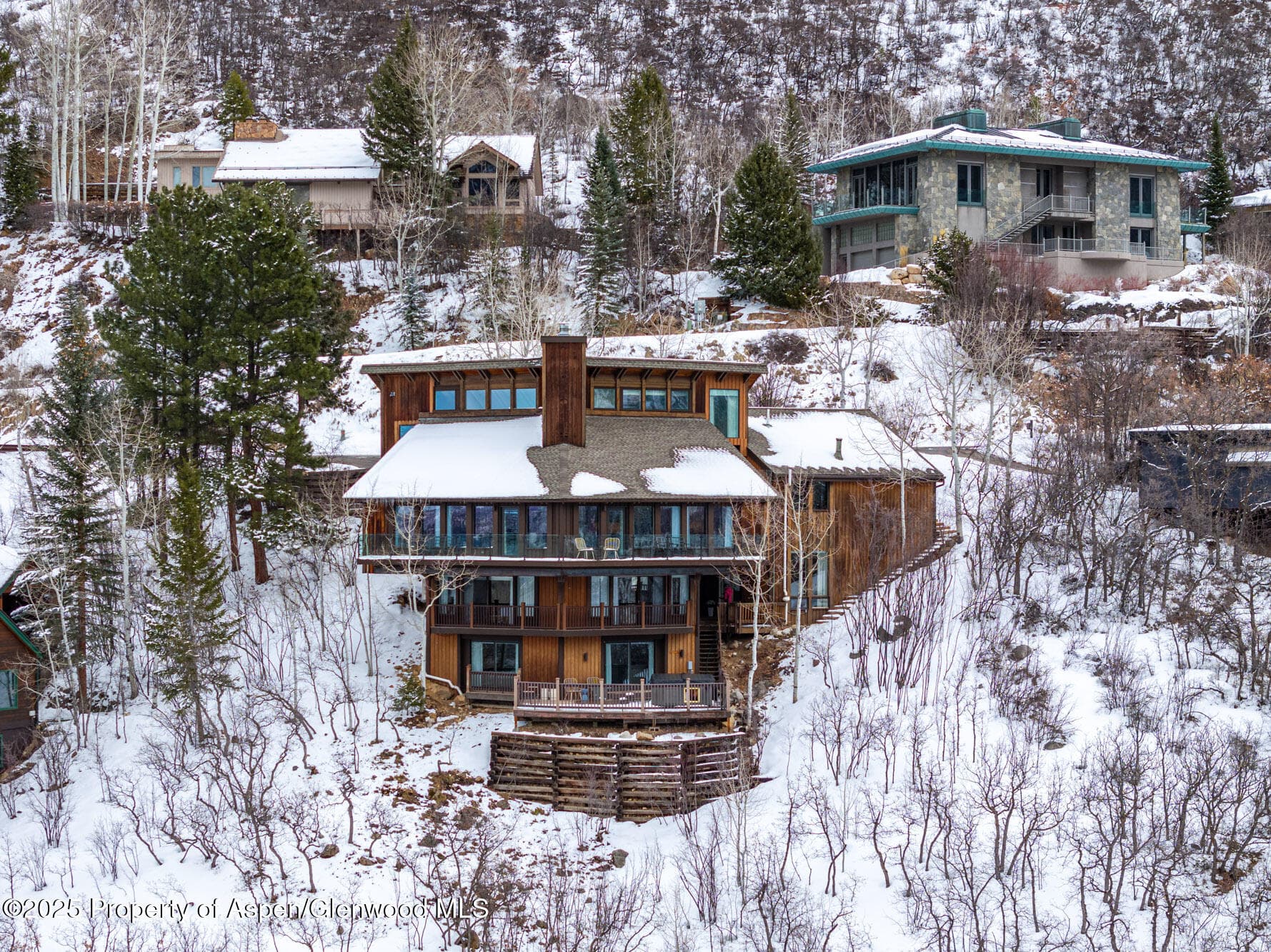 780 Mountain Laurel Drive, Aspen, CO 81611 - Photo 49