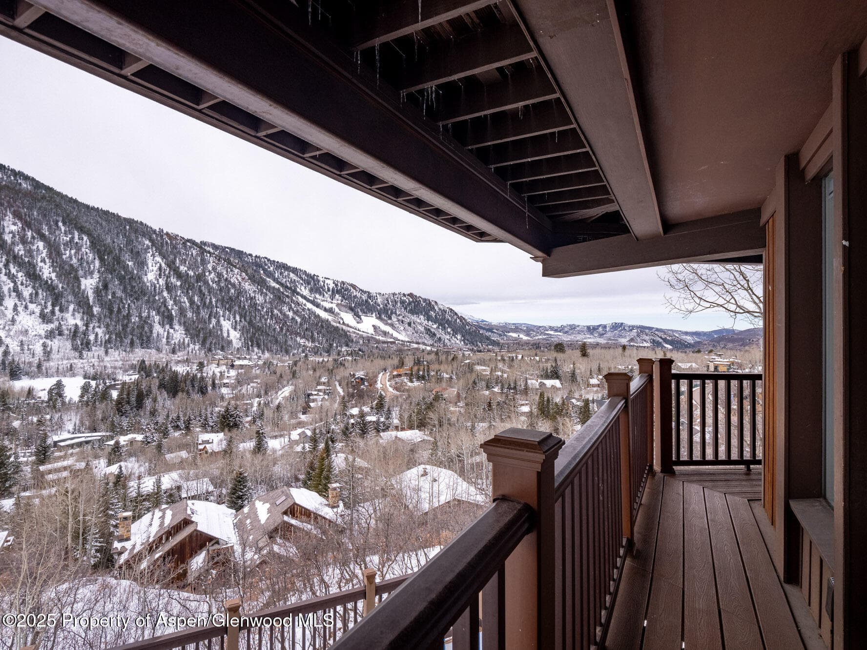 780 Mountain Laurel Drive, Aspen, CO 81611 - Photo 45