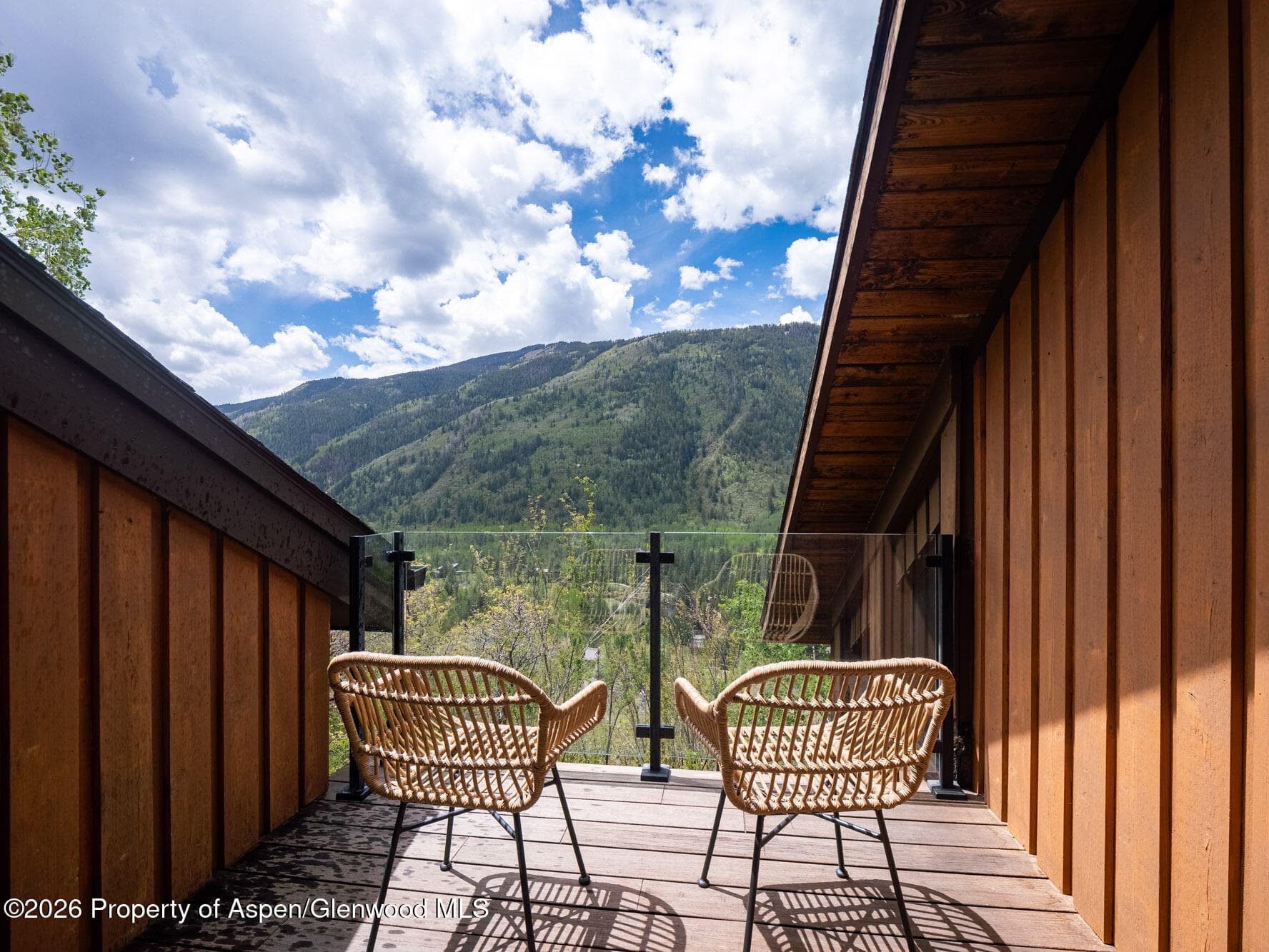 780 Mountain Laurel Drive, Aspen, CO 81611 - Photo 25