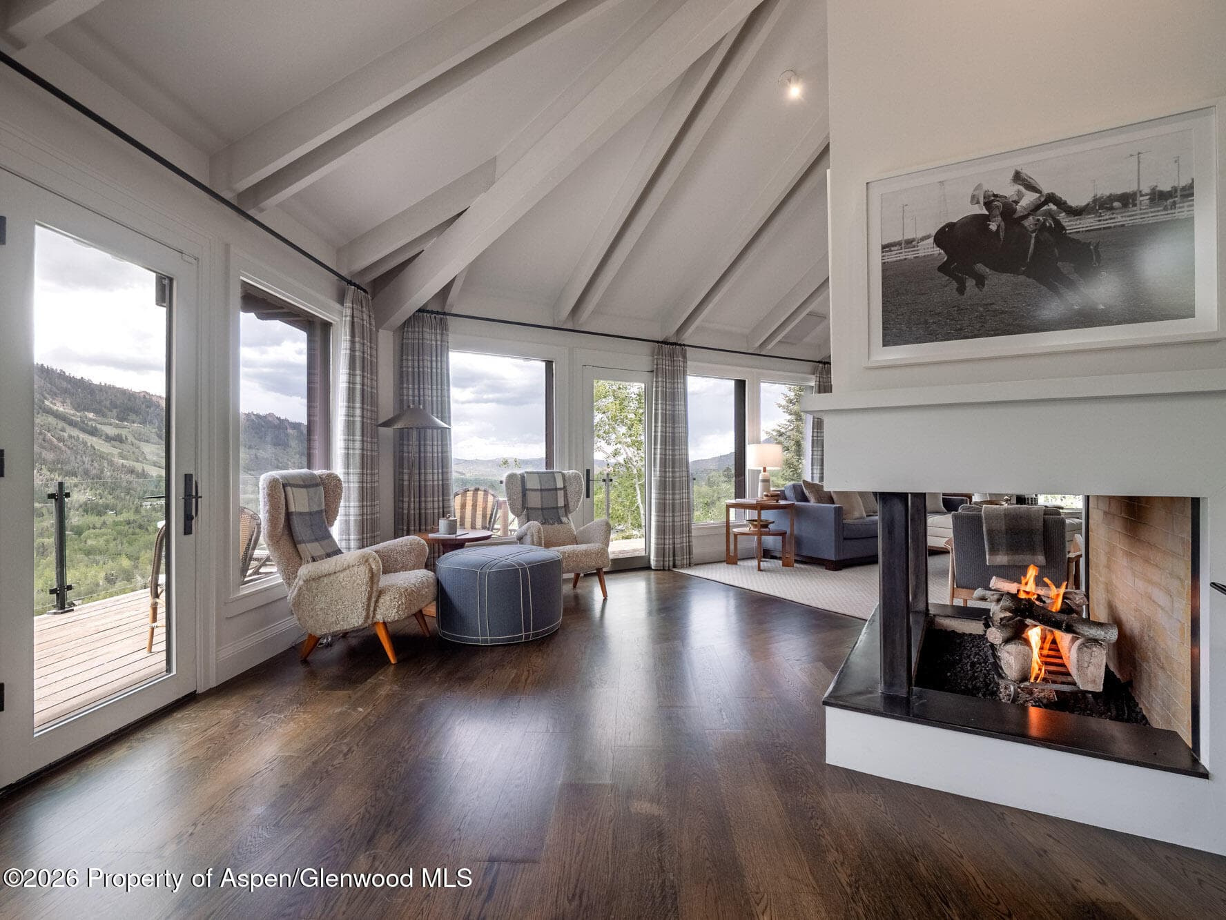 780 Mountain Laurel Drive, Aspen, CO 81611 - Photo 8