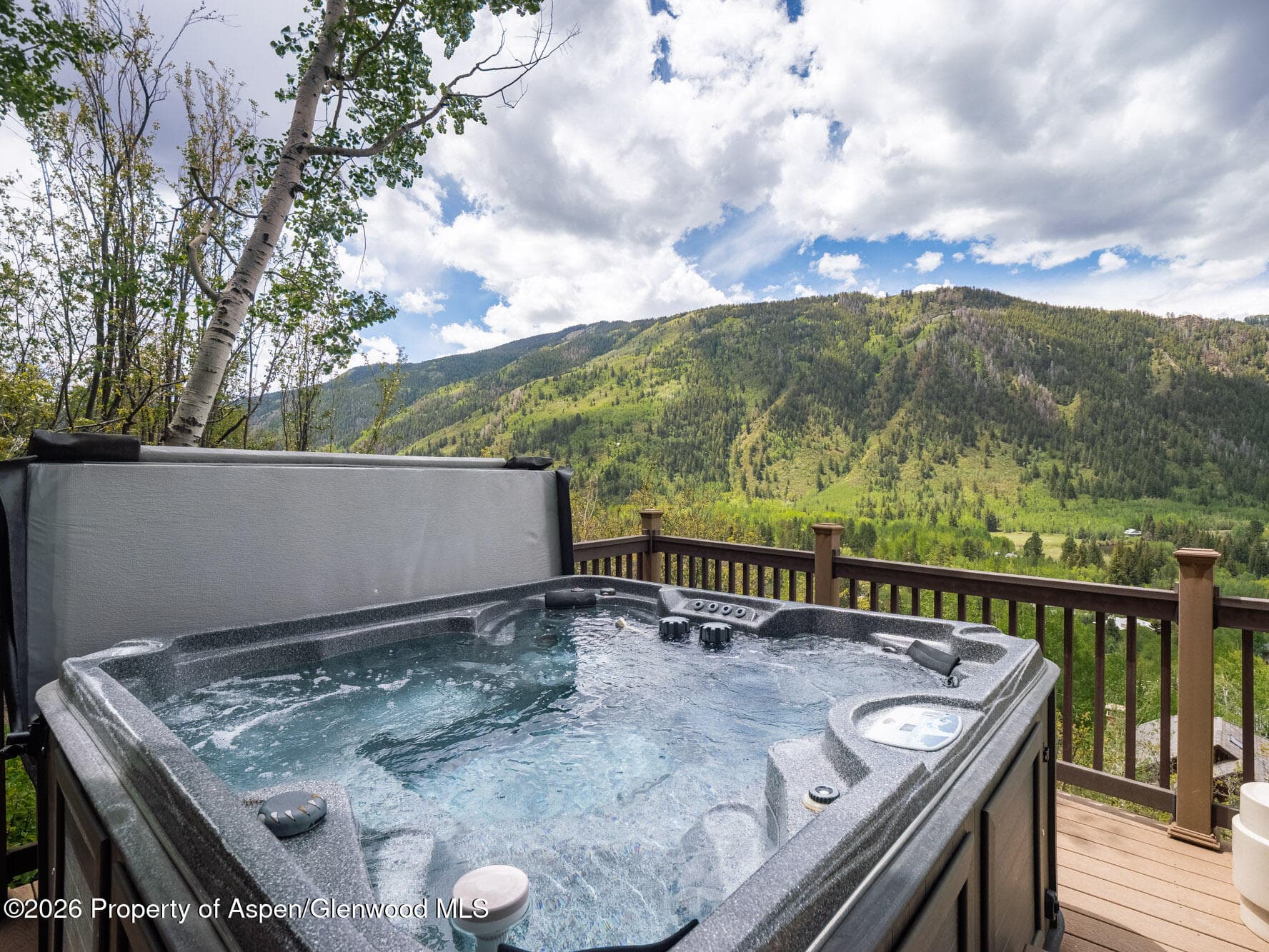 780 Mountain Laurel Drive, Aspen, CO 81611 - Photo 36