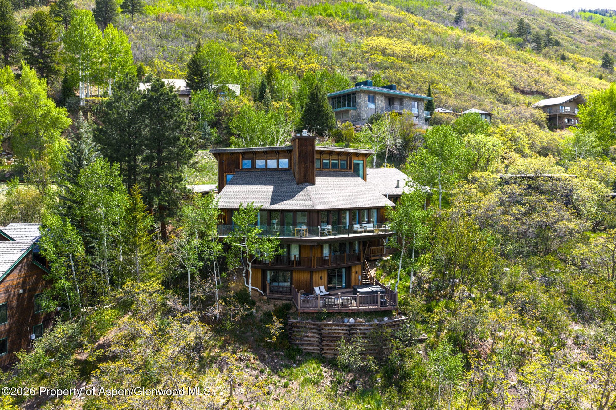 780 Mountain Laurel Drive, Aspen, CO 81611 - Photo 50