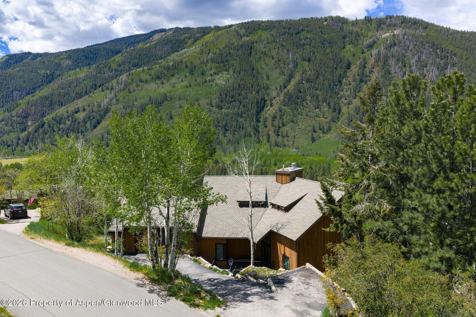 780 Mountain Laurel Drive, Aspen, CO 81611 - Photo 48