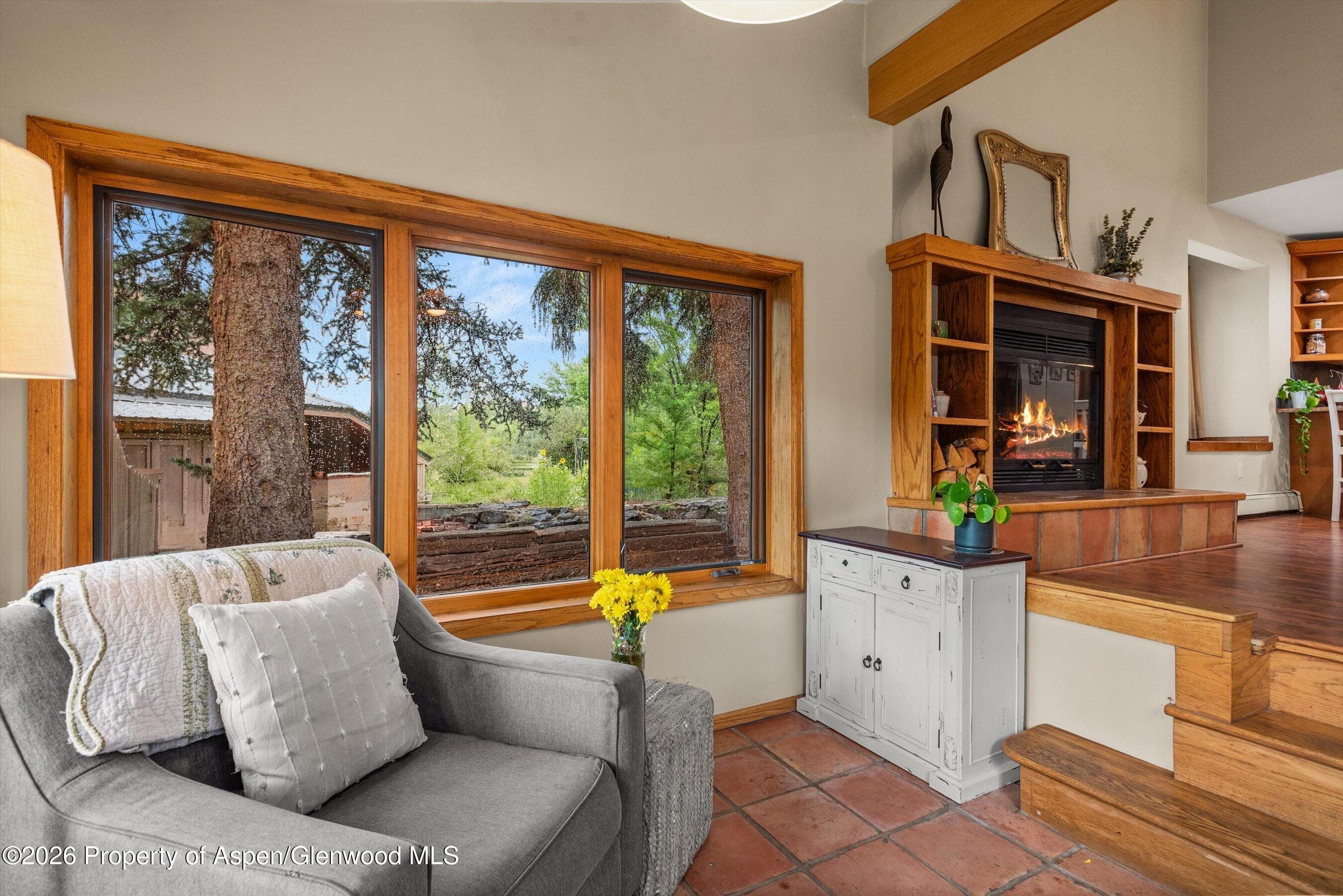 33 Mountain Court, Basalt, CO 81621 - Photo 38