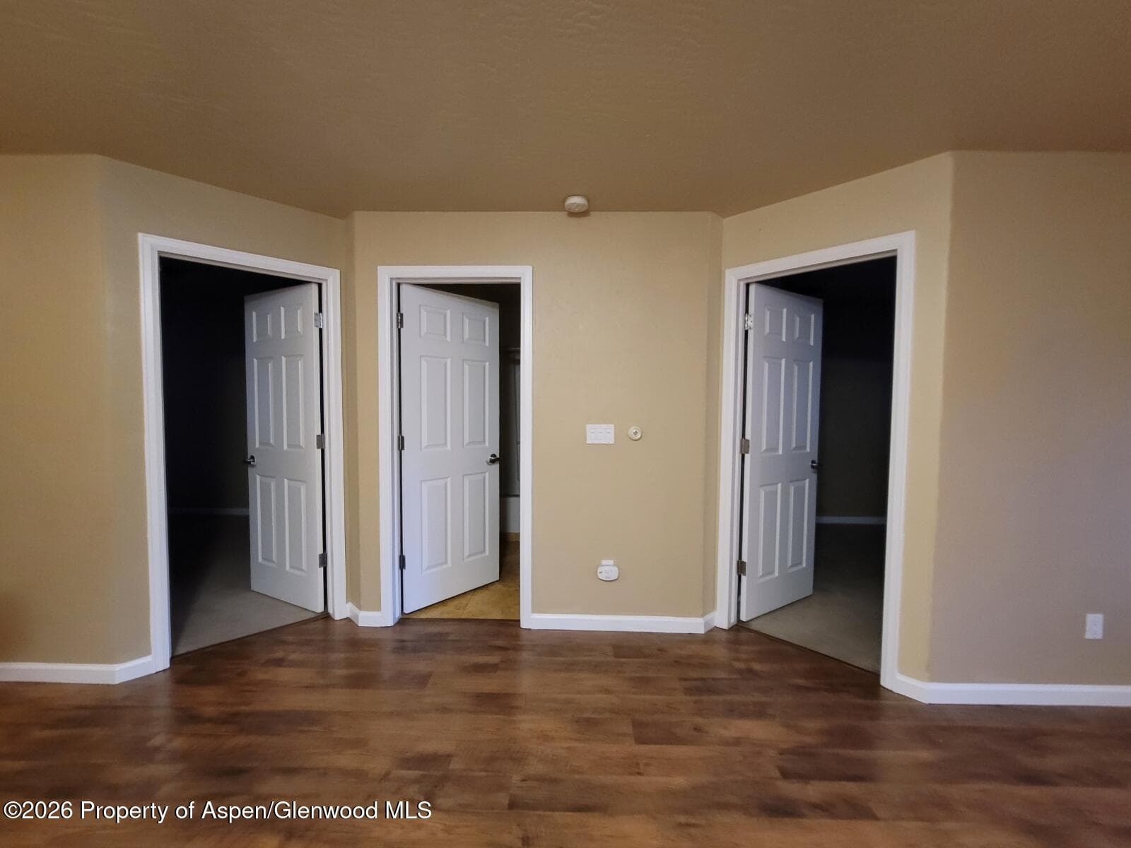 1317 Grand Avenue 304, Glenwood Springs, CO 81601 - Photo 8