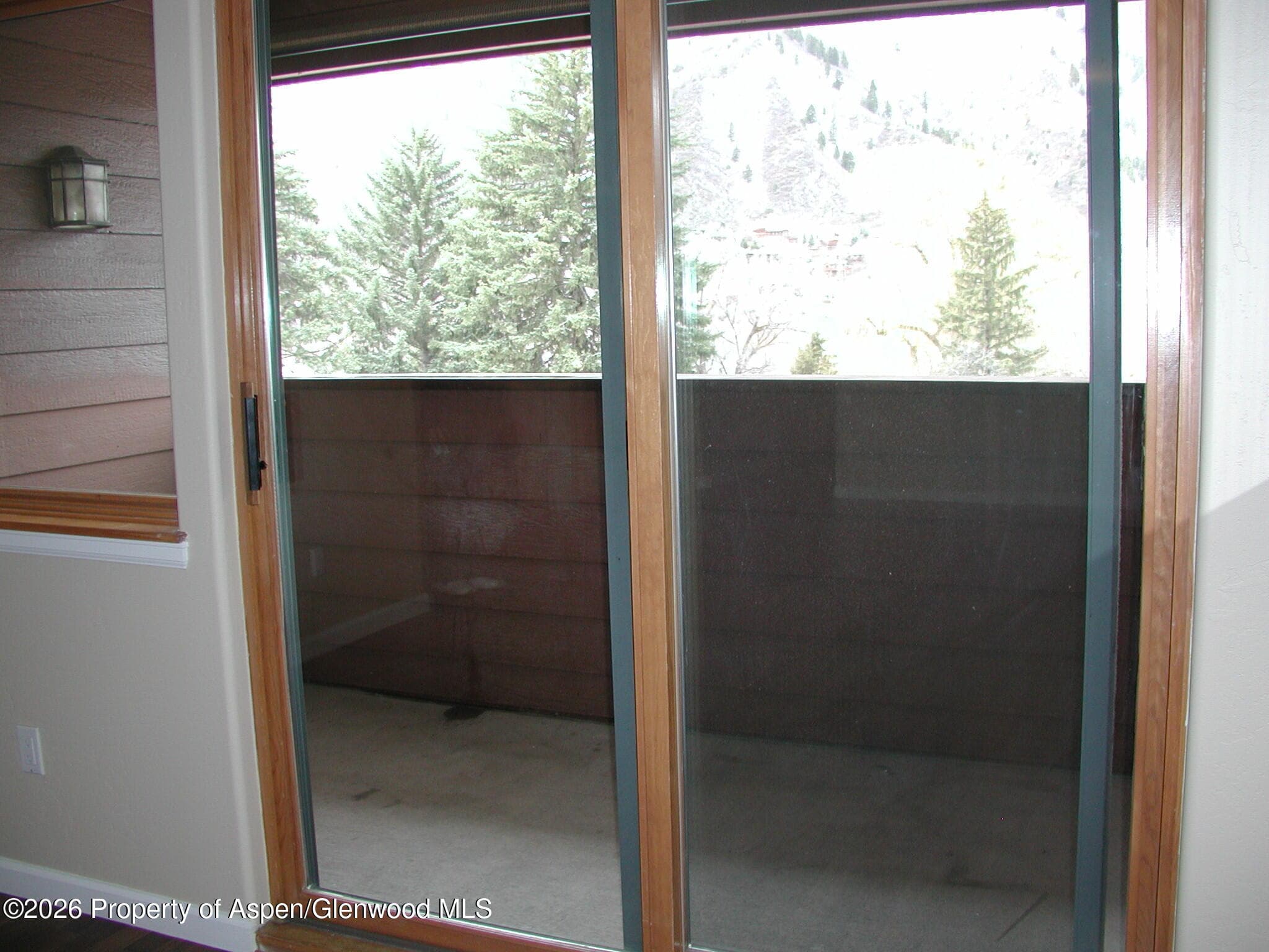 1317 Grand Avenue 304, Glenwood Springs, CO 81601 - Photo 5