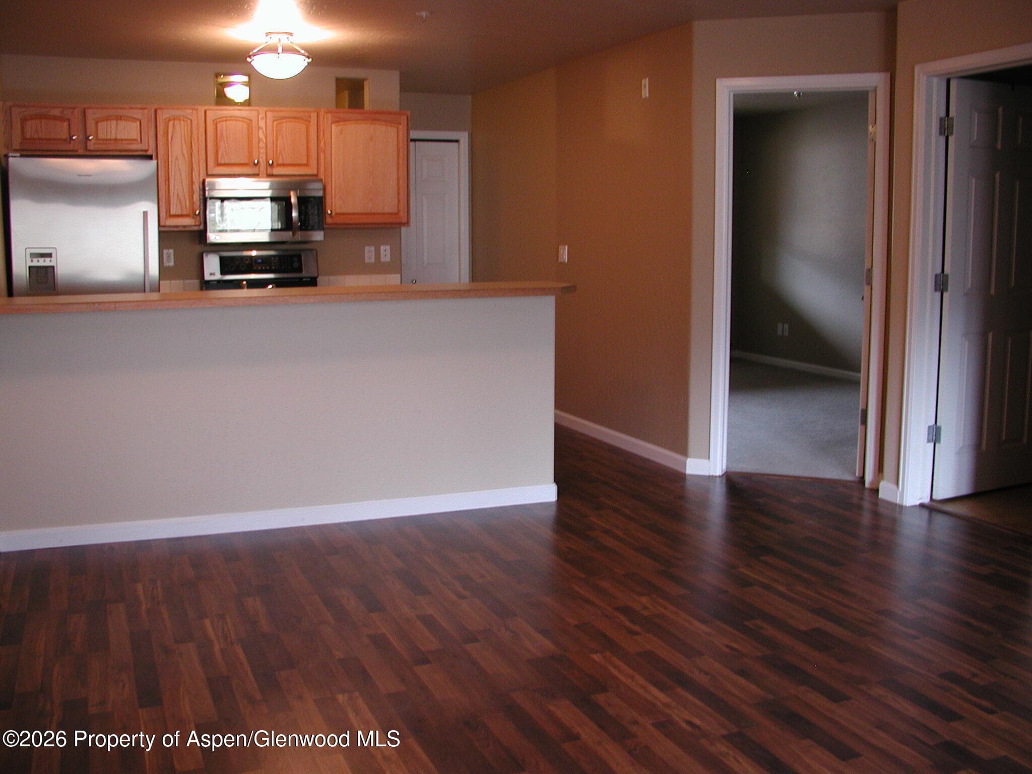 1317 Grand Avenue 304, Glenwood Springs, CO 81601 - Photo 2