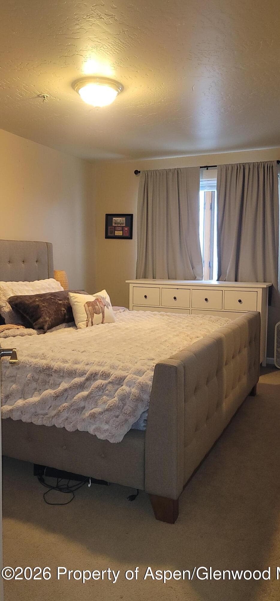 1317 Grand Avenue 304, Glenwood Springs, CO 81601 - Photo 9