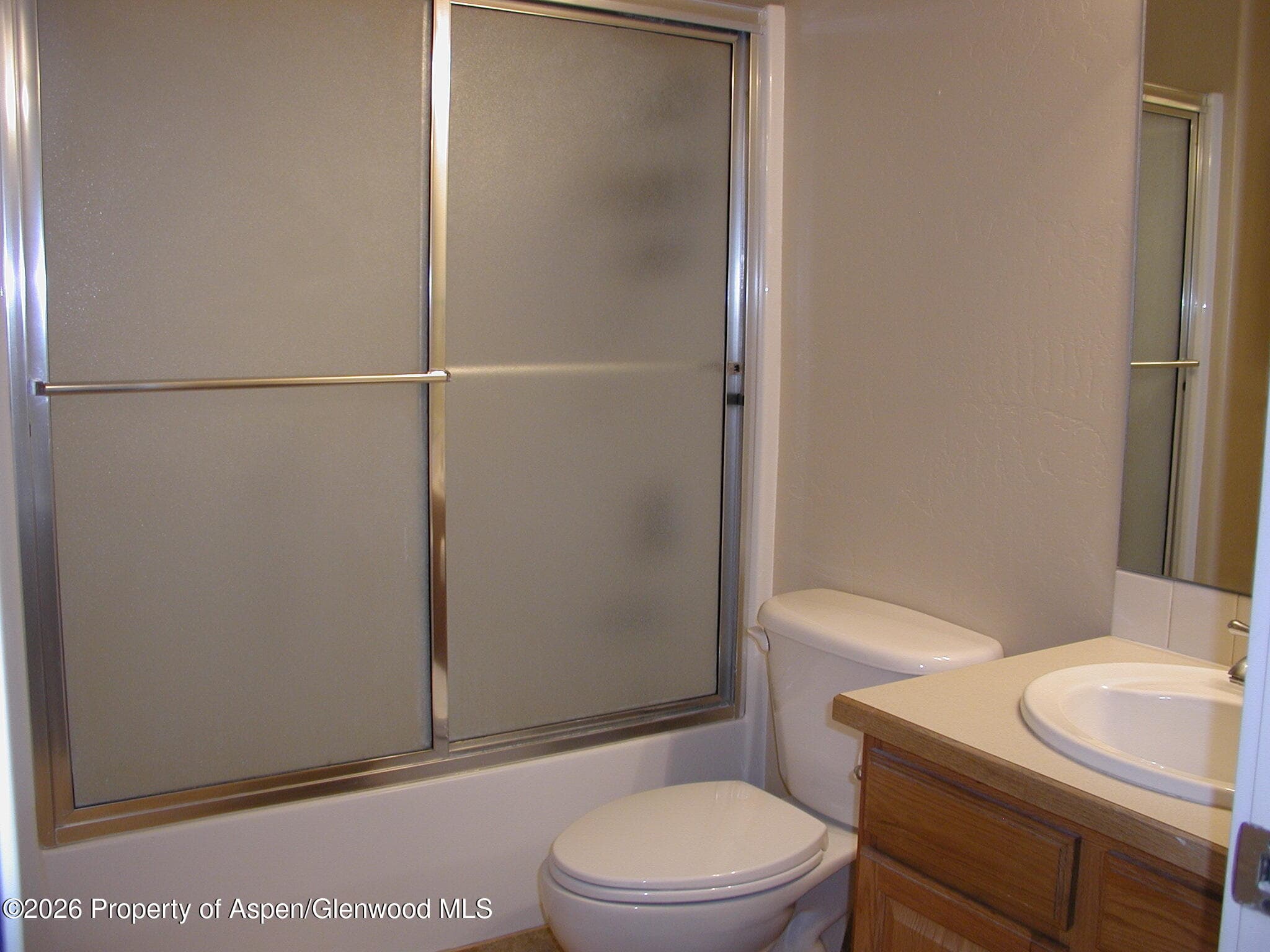 1317 Grand Avenue 304, Glenwood Springs, CO 81601 - Photo 10