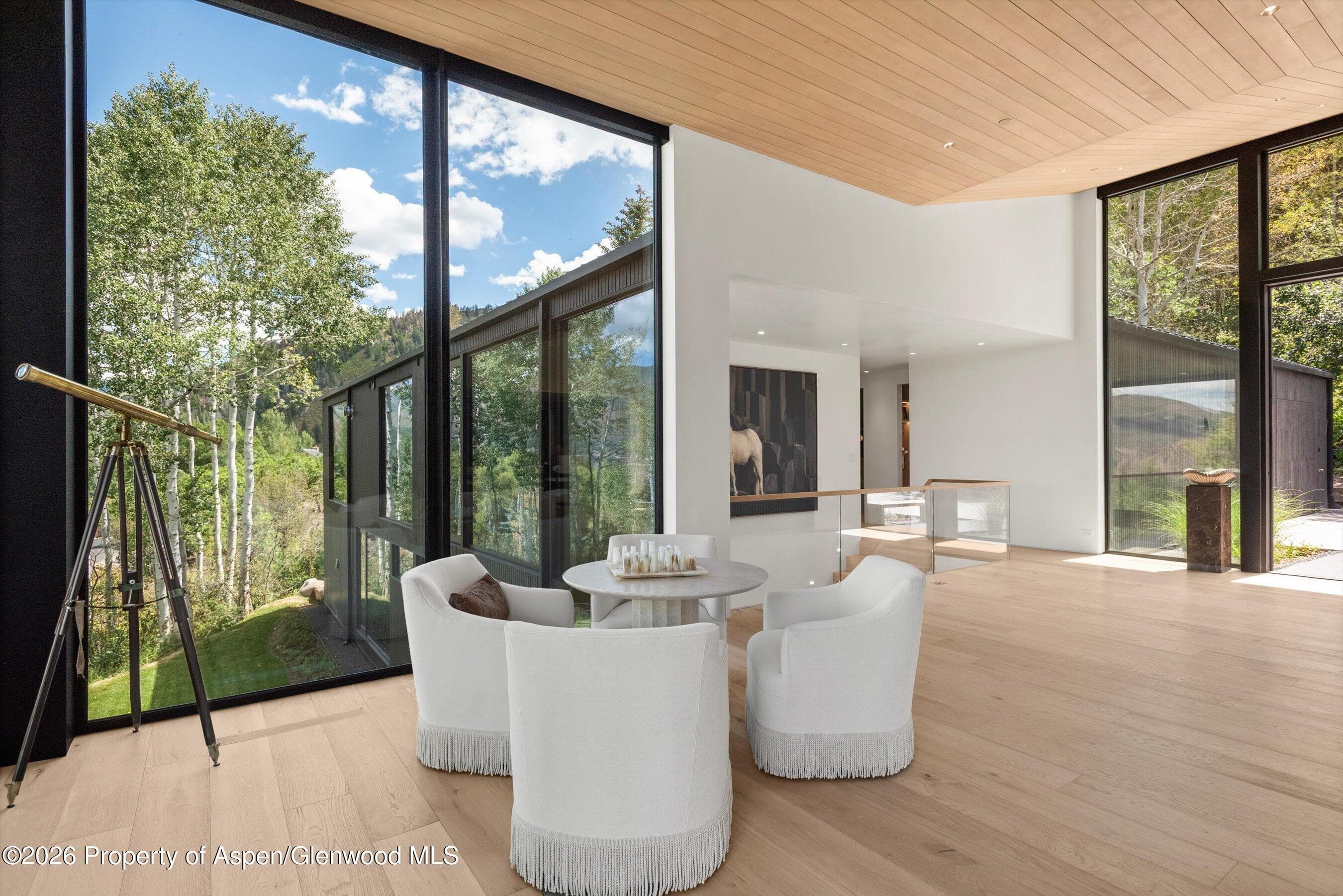 264 Larkspur Lane, Aspen, CO 81611 - Photo 9
