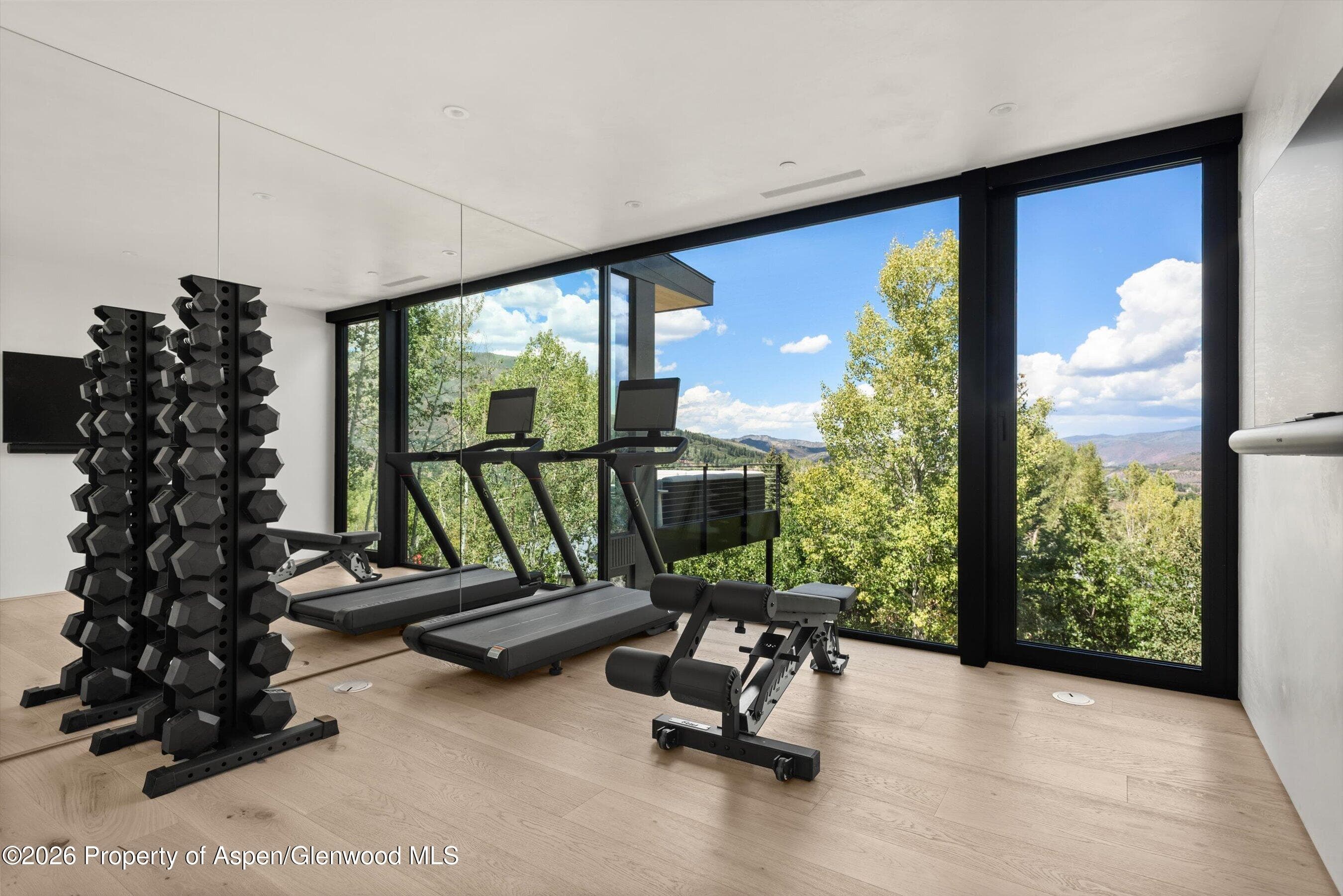 264 Larkspur Lane, Aspen, CO 81611 - Photo 26
