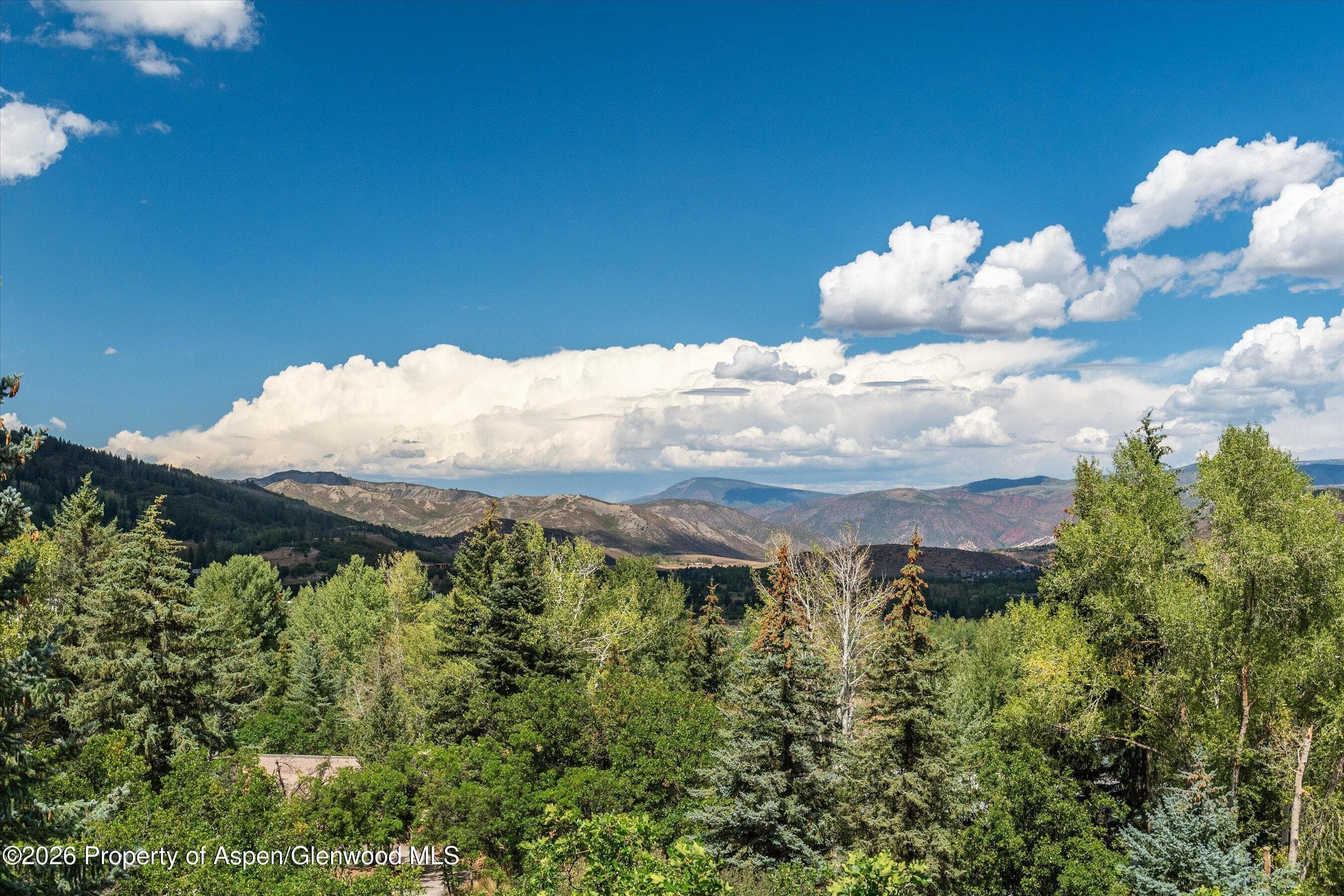 264 Larkspur Lane, Aspen, CO 81611 - Photo 49