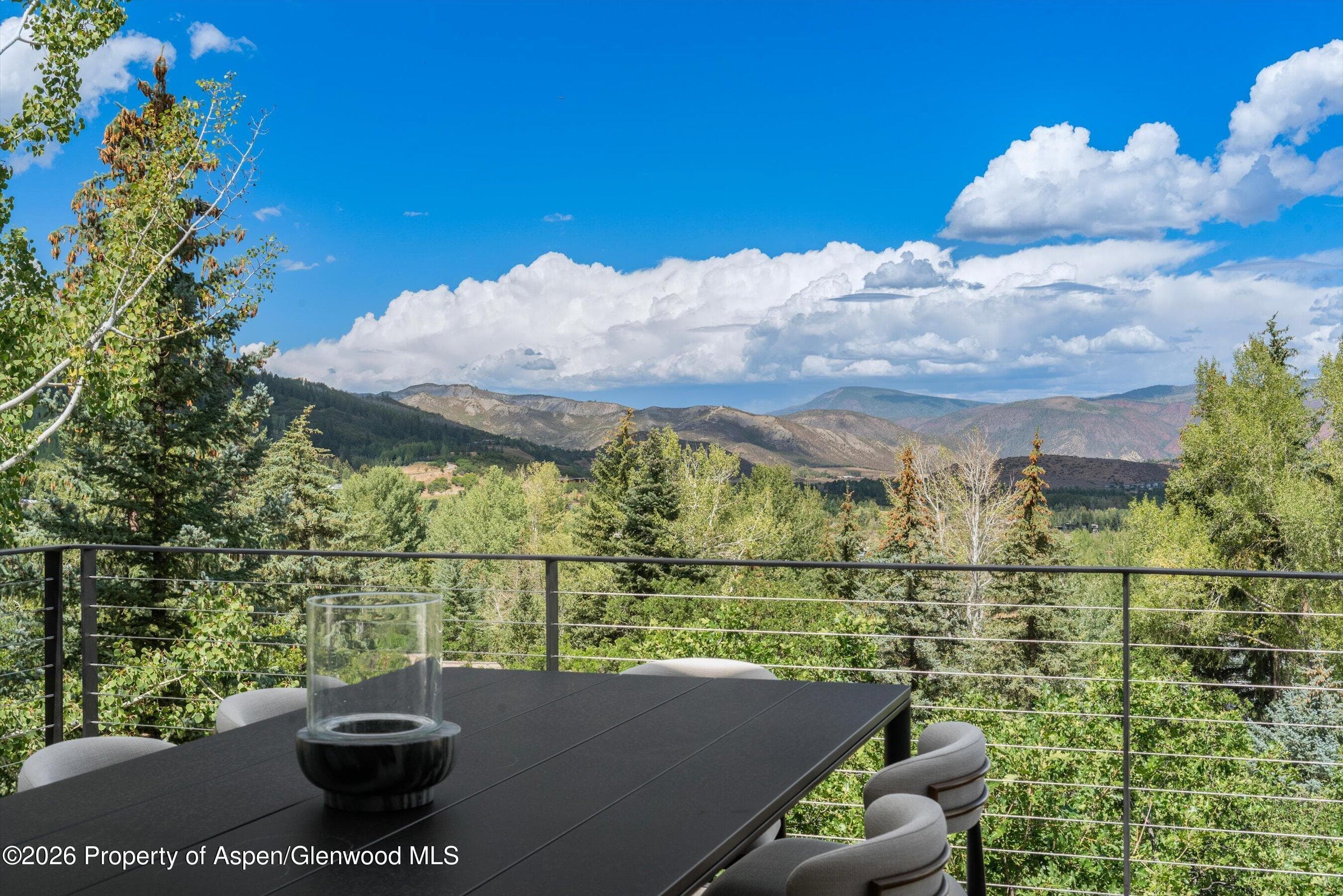 264 Larkspur Lane, Aspen, CO 81611 - Photo 13