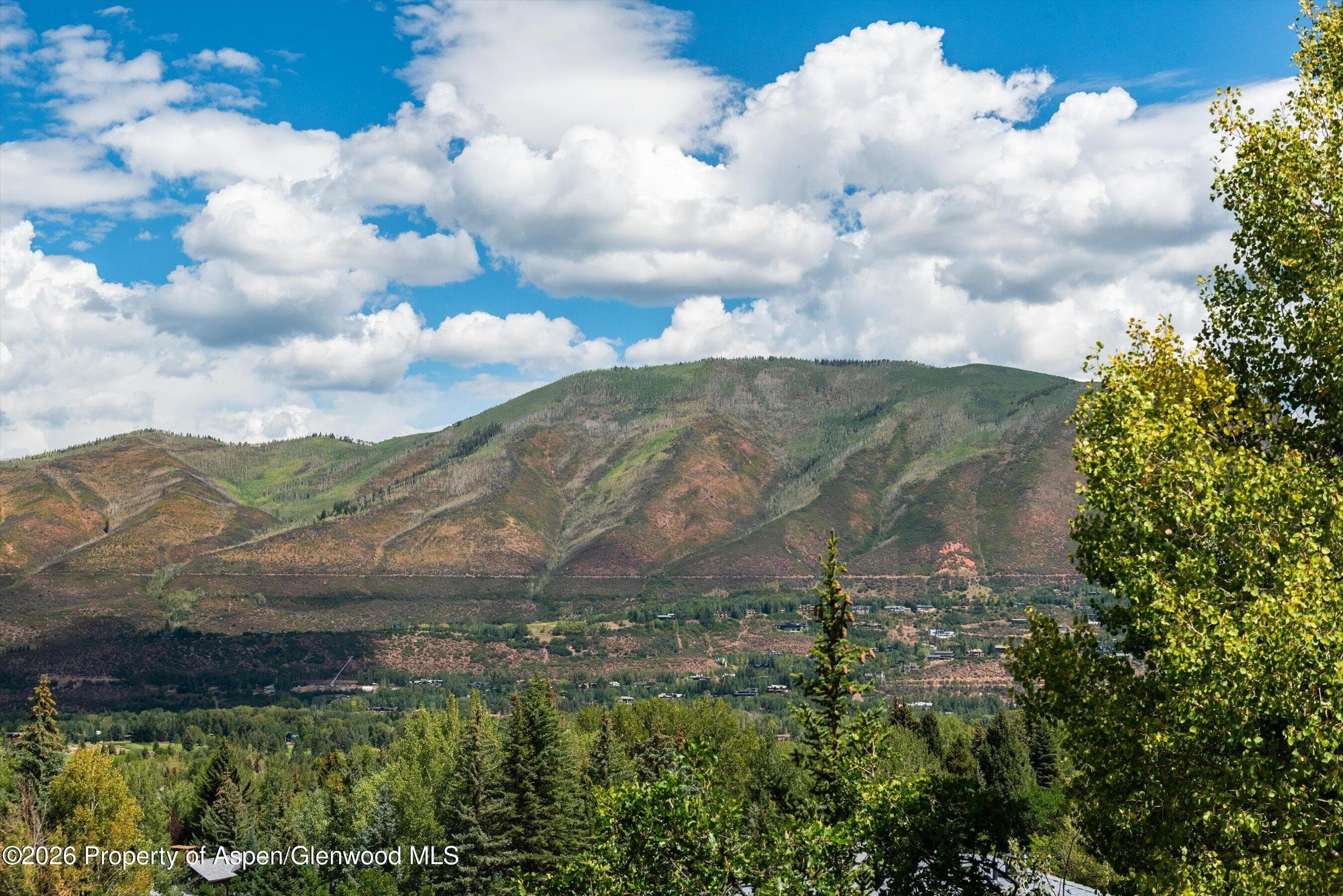 264 Larkspur Lane, Aspen, CO 81611 - Photo 48