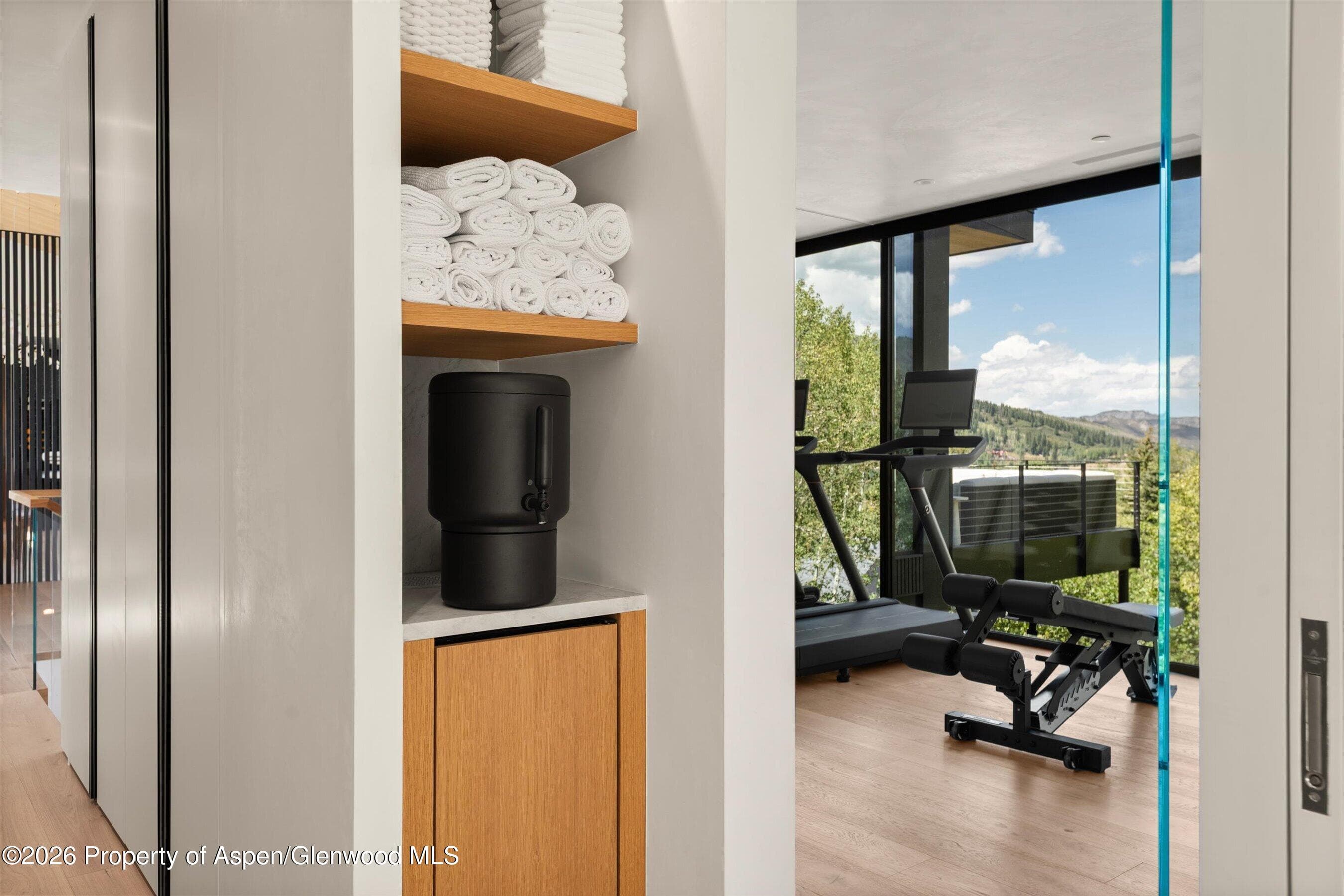 264 Larkspur Lane, Aspen, CO 81611 - Photo 27