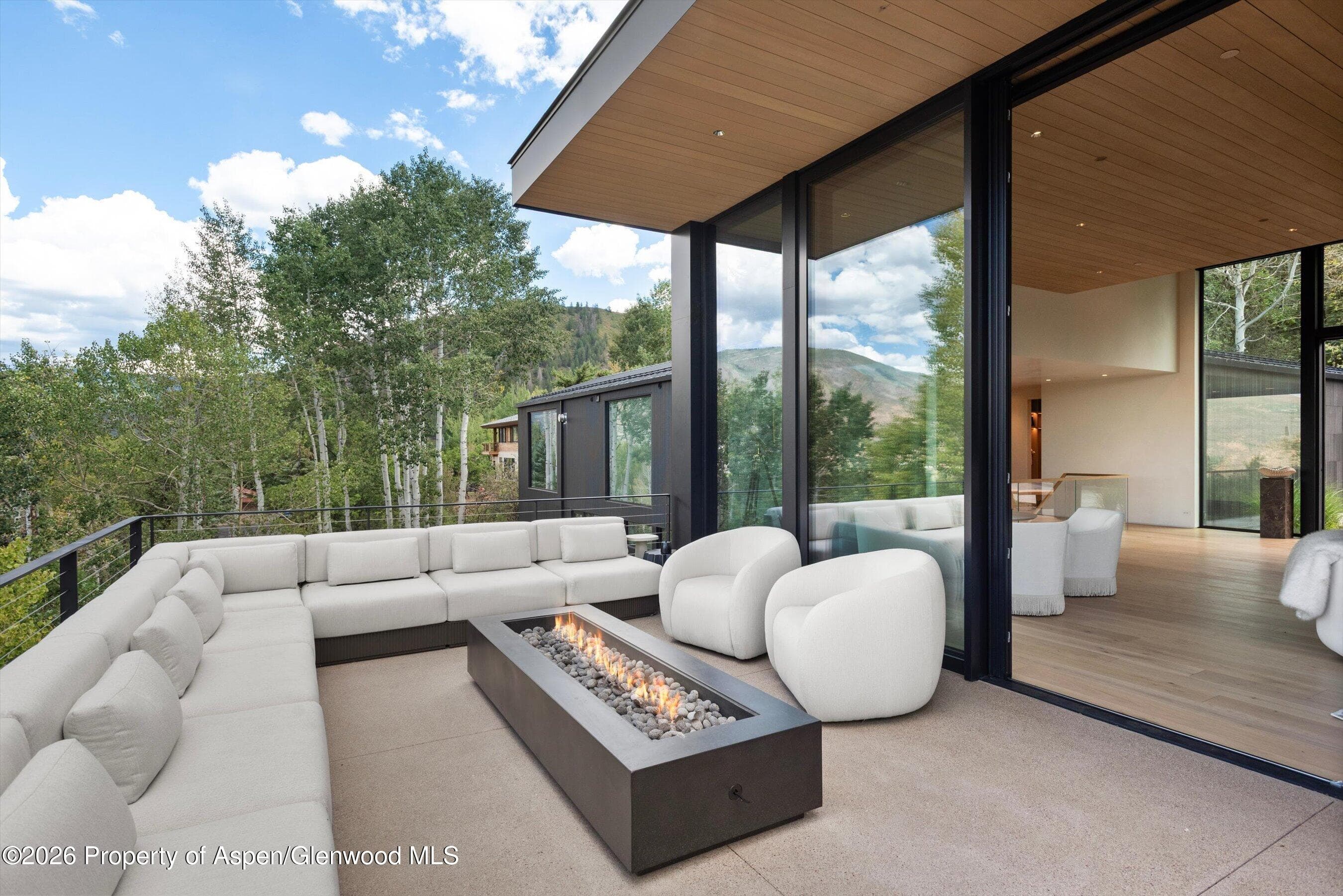 264 Larkspur Lane, Aspen, CO 81611 - Photo 11
