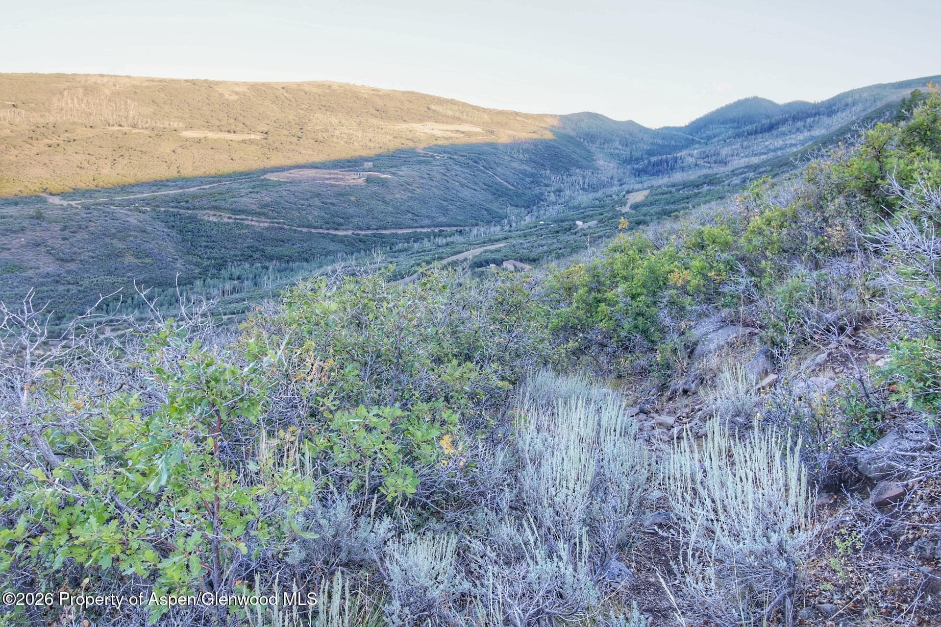 Tbd County Road 317, Rifle, CO 81650 - Photo 4